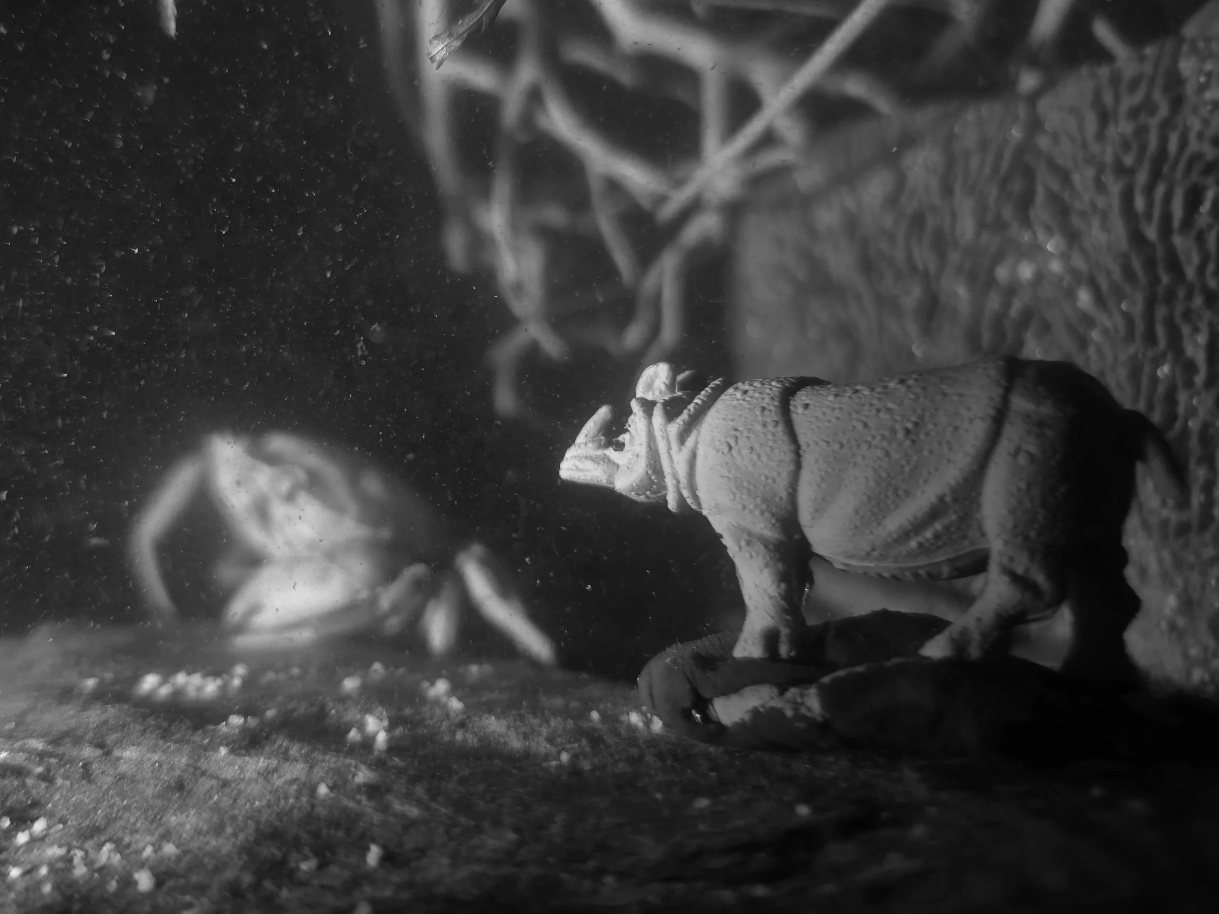 Aquatilibus x Made in China IV | fotoprint op fine art papier | 2024