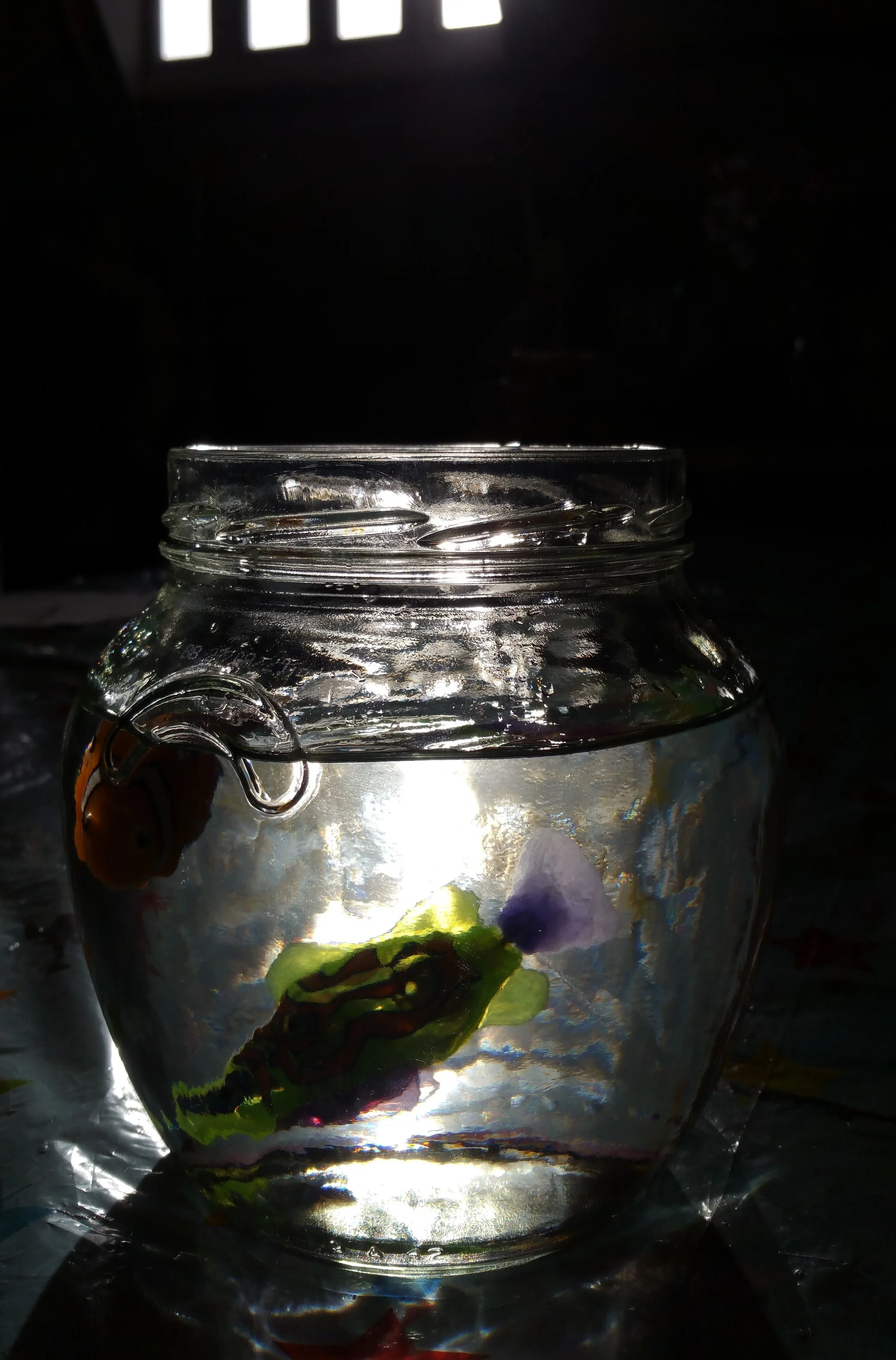 20160228_100214 2bij3.jpg