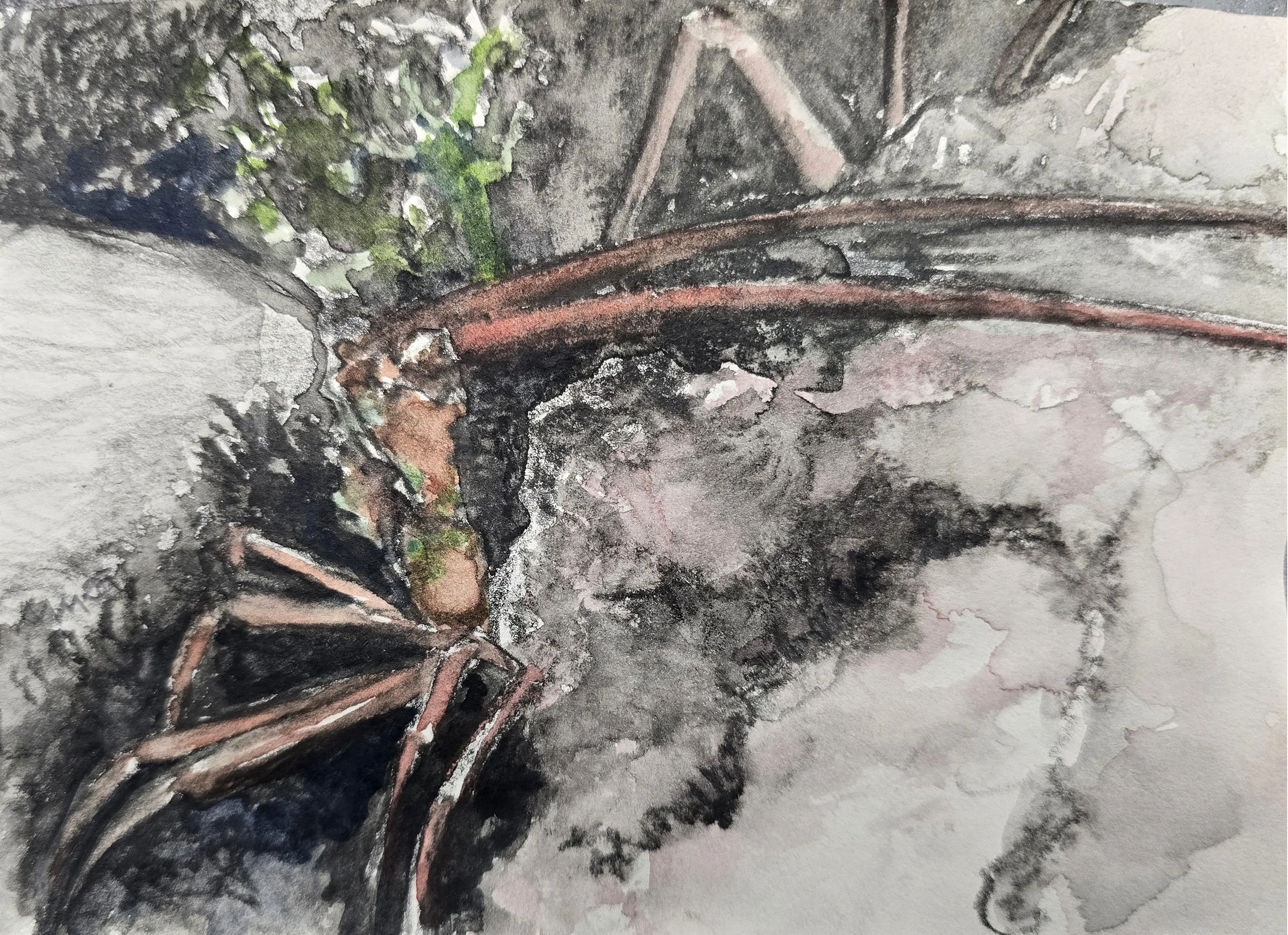 Aquatilibus XXIV | gemengde techniek op papier | 2025 | 16,5x11 cm