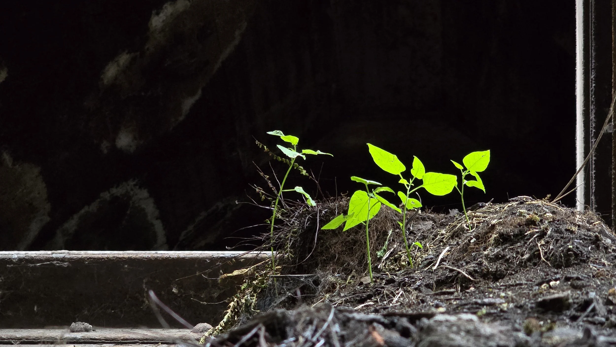 20250717_123001 r auto extra r.jpg