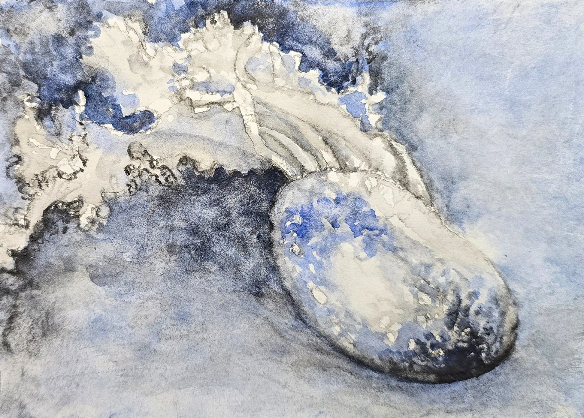 Aquatilibus XXIII | gemengde techniek op papier | 2025 | 16,5x11 cm