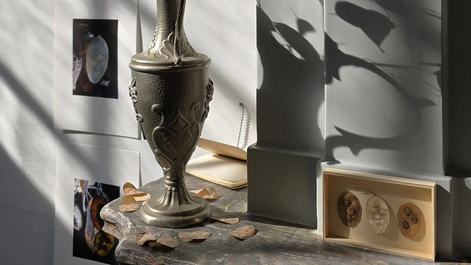 wie zaait zal oogsten