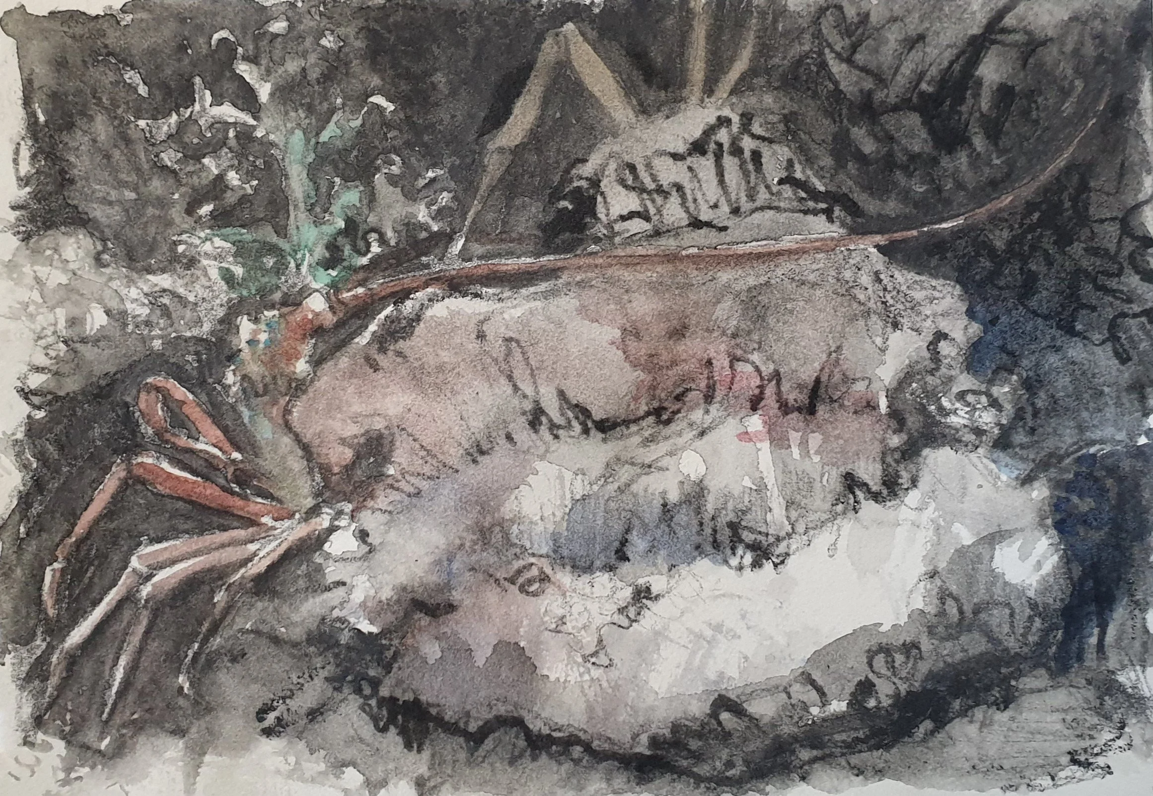 Aquatilibus II | grafiet en aquarel op papier | 2023 | 16,5x11 cm