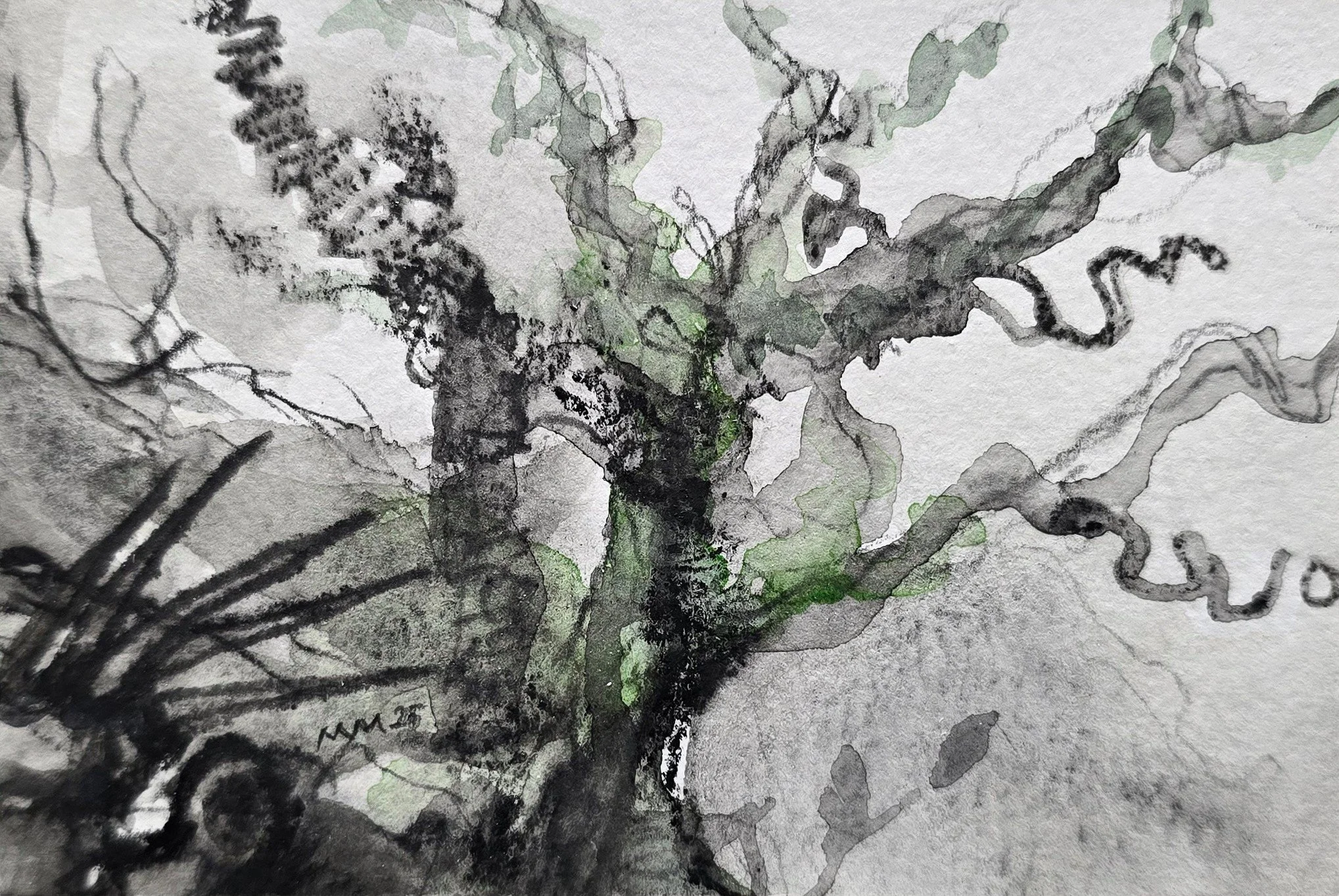 Aquatilibus 12 | gemengde techniek op papier op paneel | 2025 | 12x8 cm