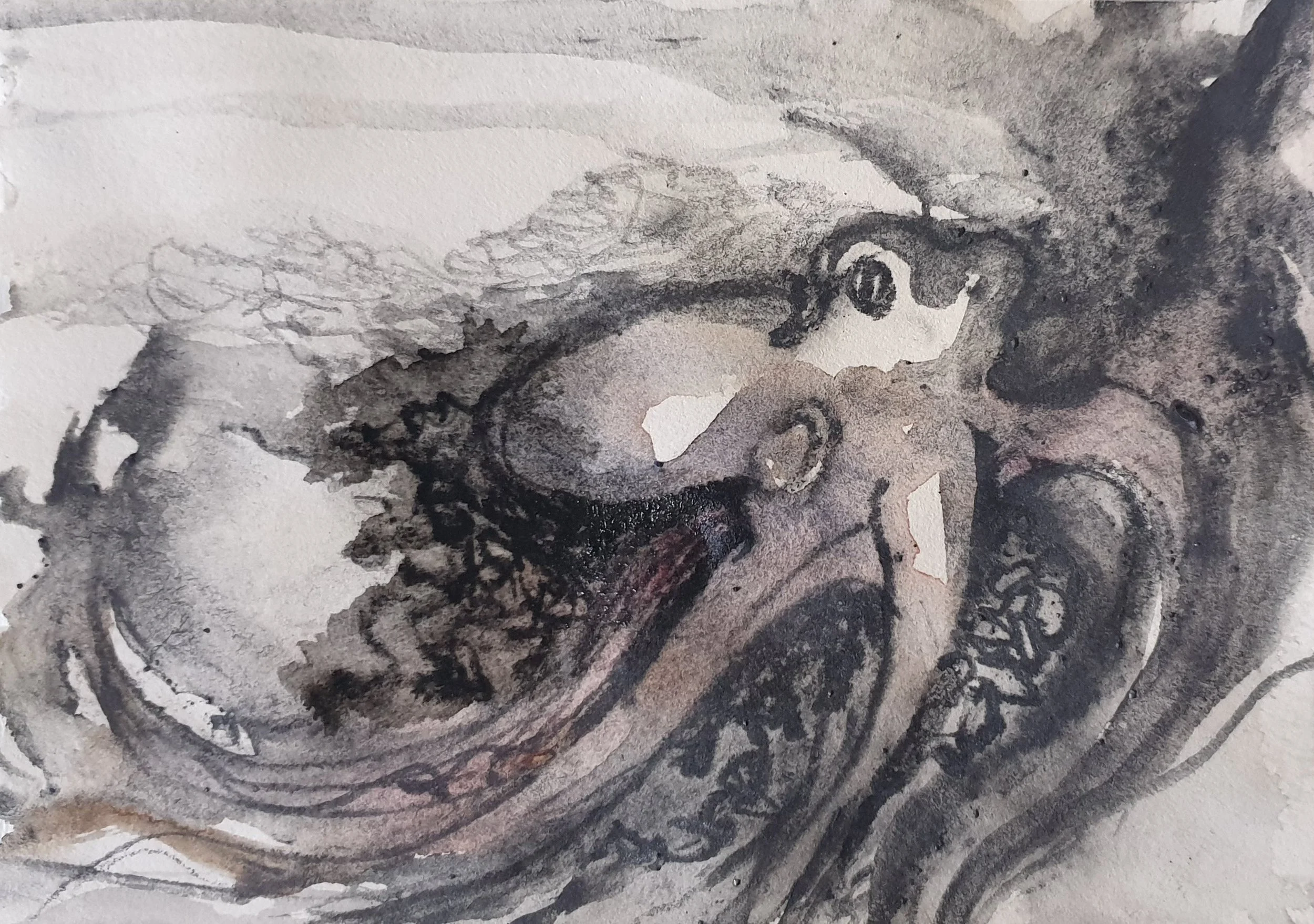 Aquatilibus XI | grafiet en aquarel op papier | 2023 | 16,5x11 cm