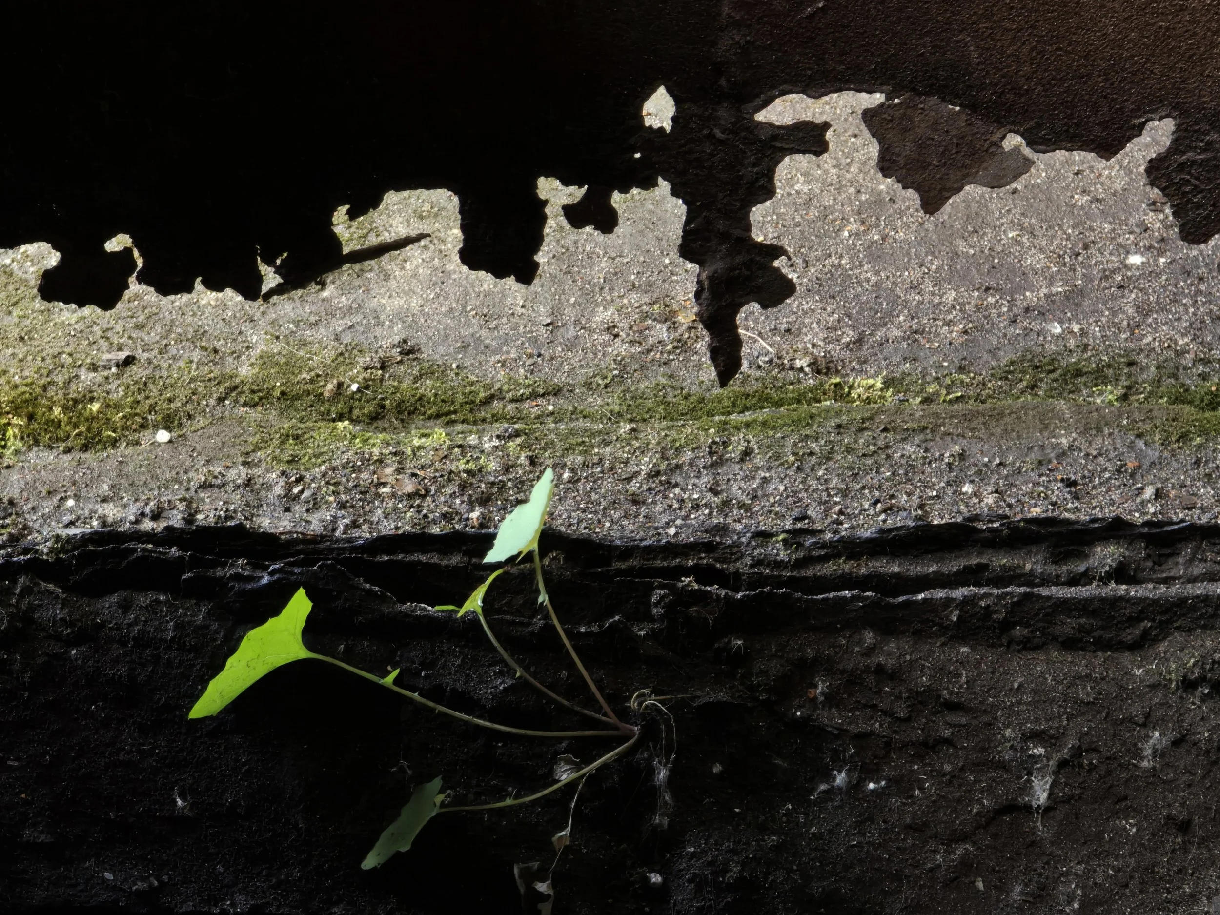 20250717_114516 lcontr recht.jpg