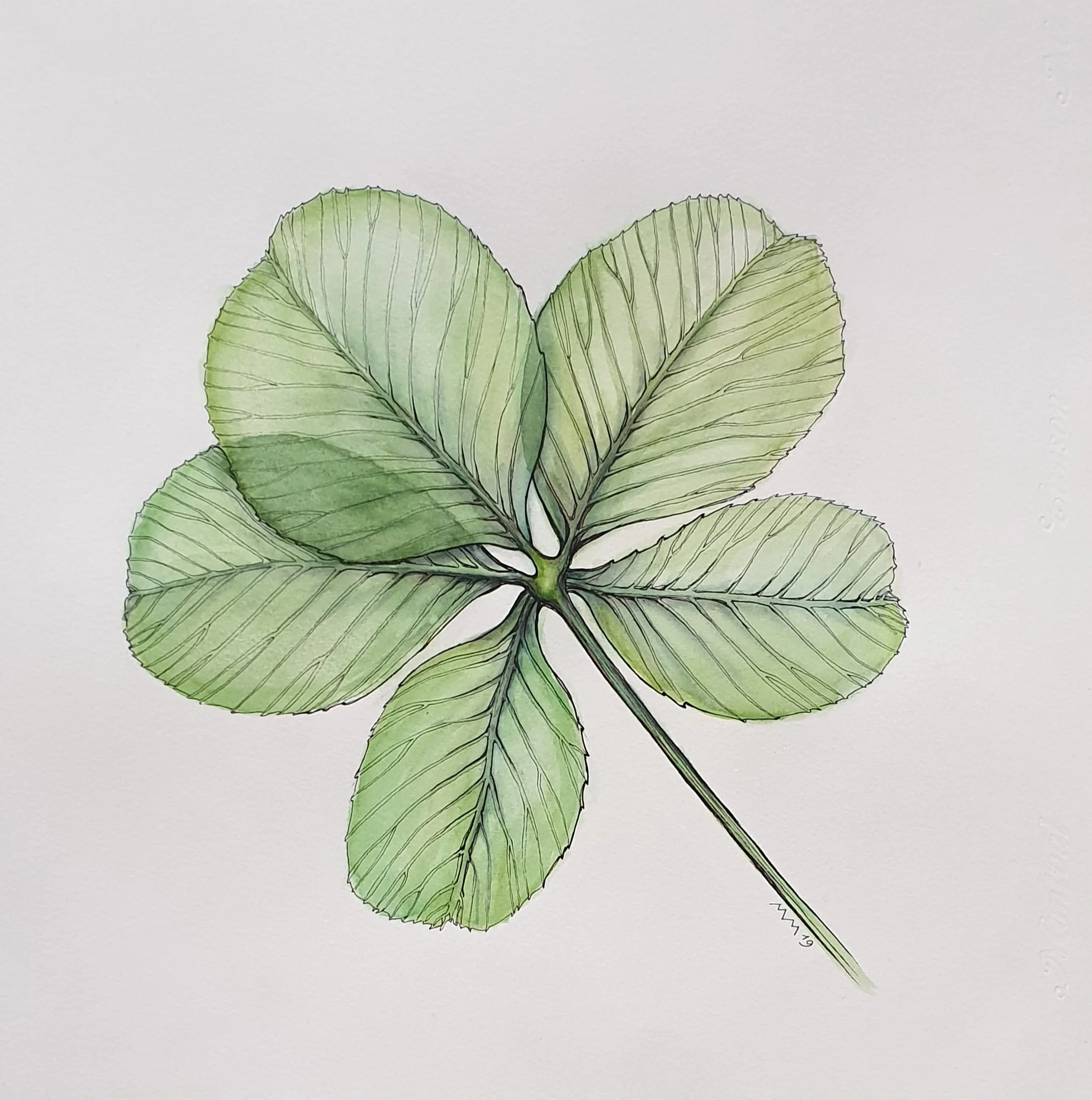 klavertje vijf | 2019