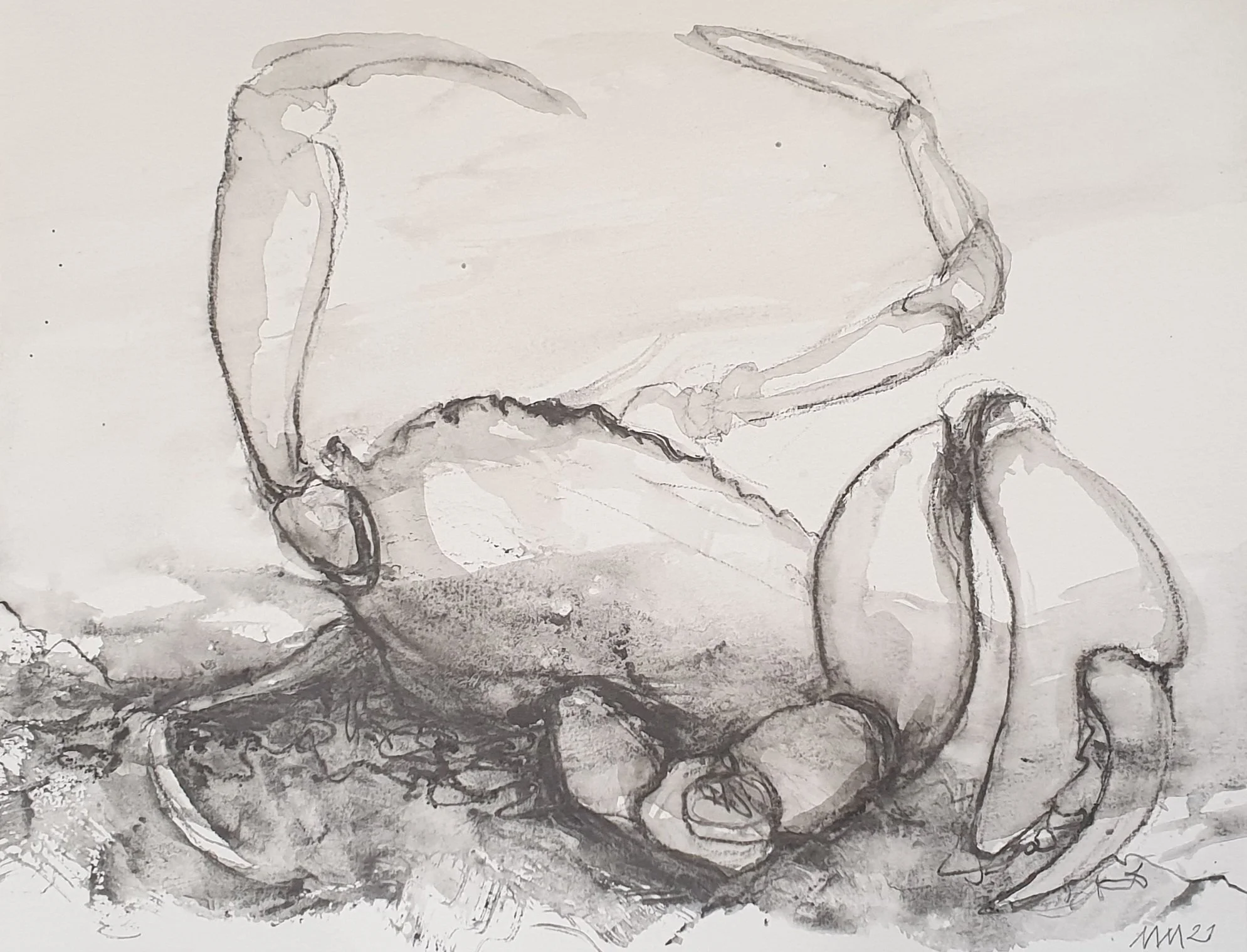 Aquatilibus II - serie 2 | gemengde techniek | 2021 | 32,5x25 cm