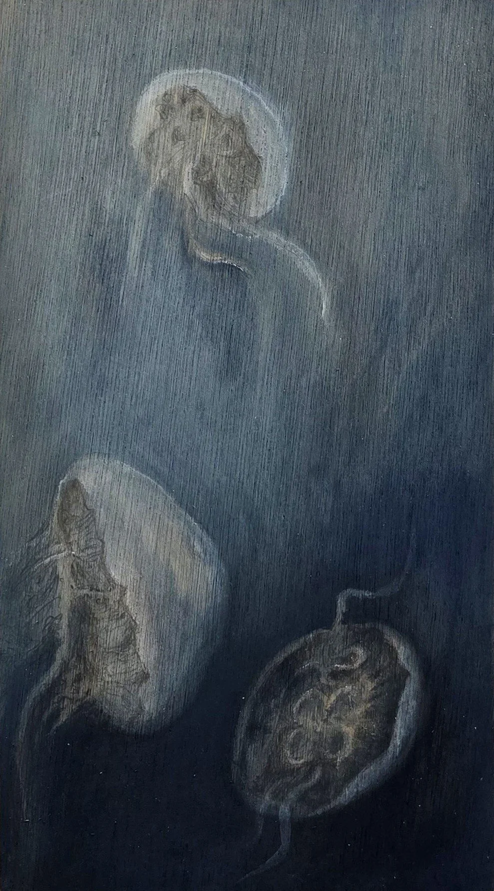 Aquatilibus - meduse | gemengde techniek op paneel | 2025 | 17x31 cm