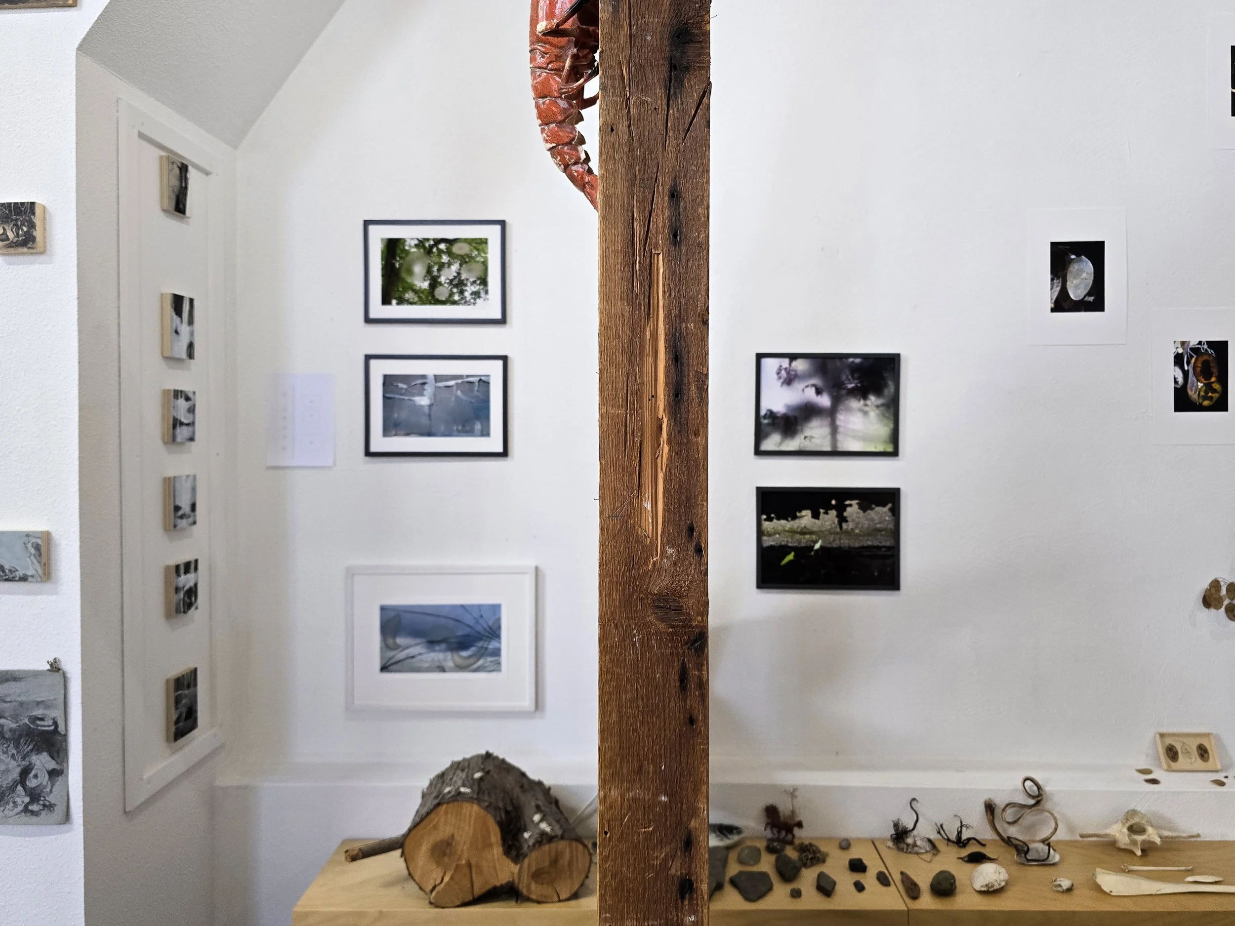 20250923_121209 r.jpg