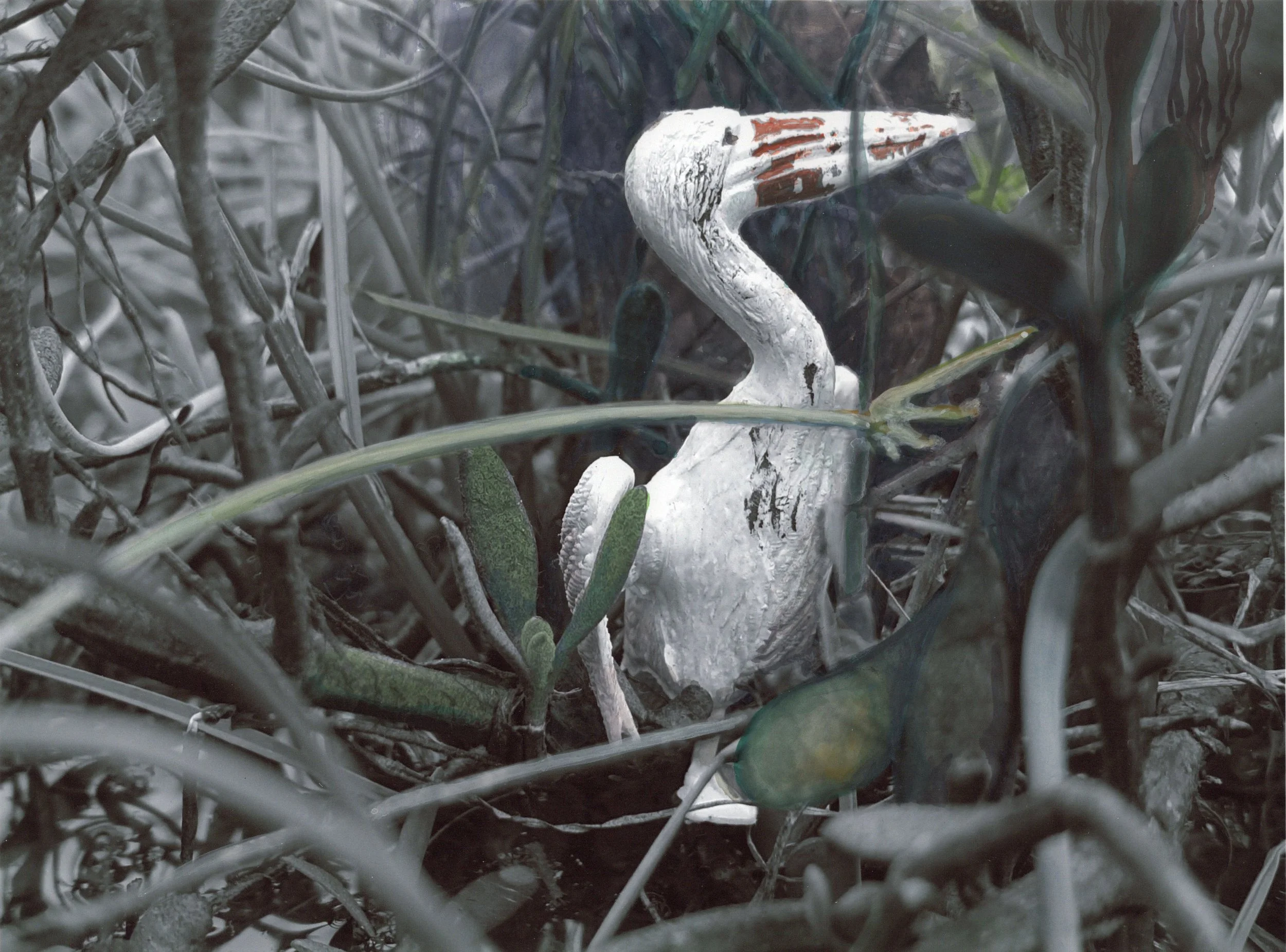 Made in China x  Aquatilibus - Pelecanus | gemengde techniek | 2024 |  28x21 cm