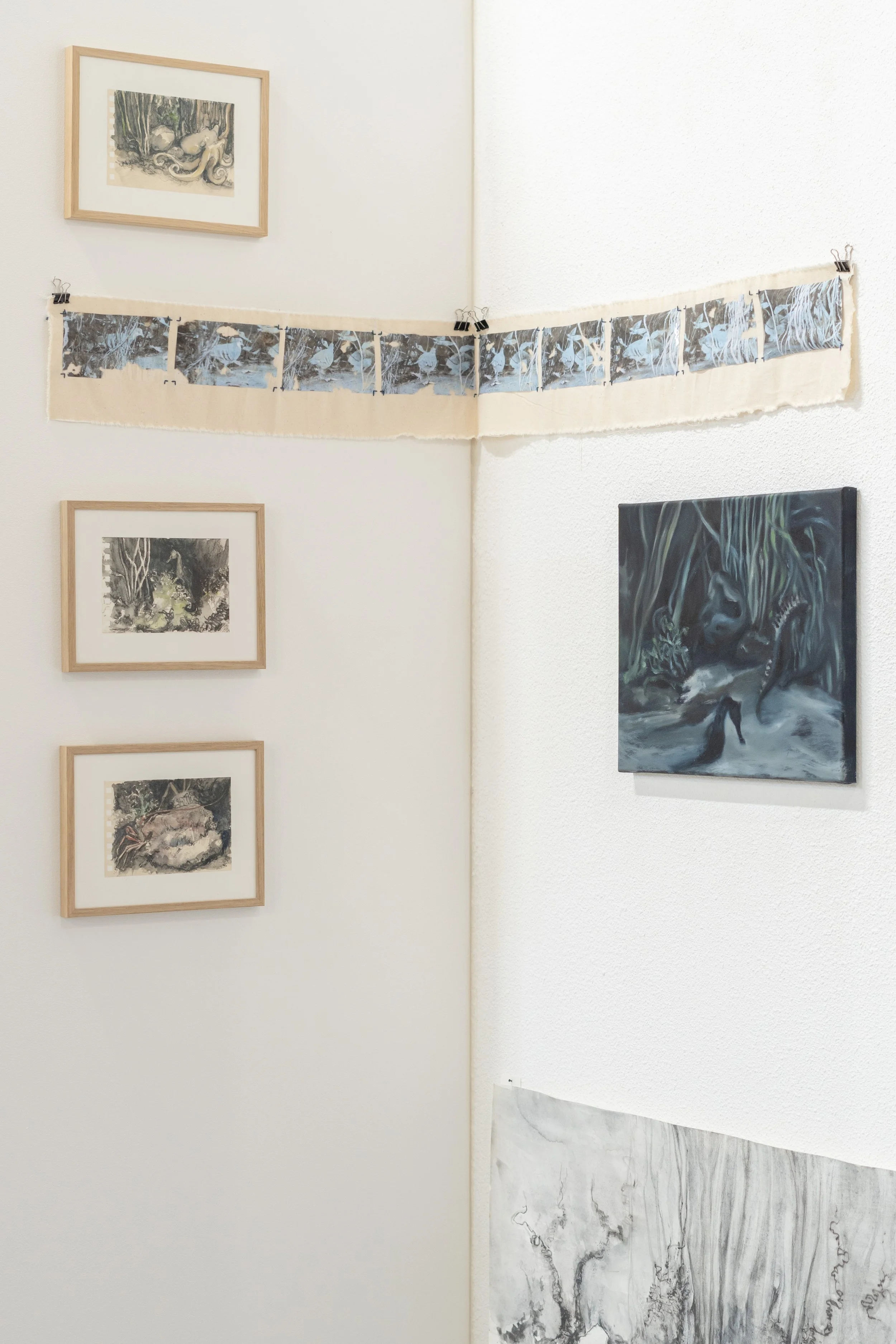 impressie tentoonstelling Aaibaren & Onaanraakbaren | 2024 | foto: Koen Kievits