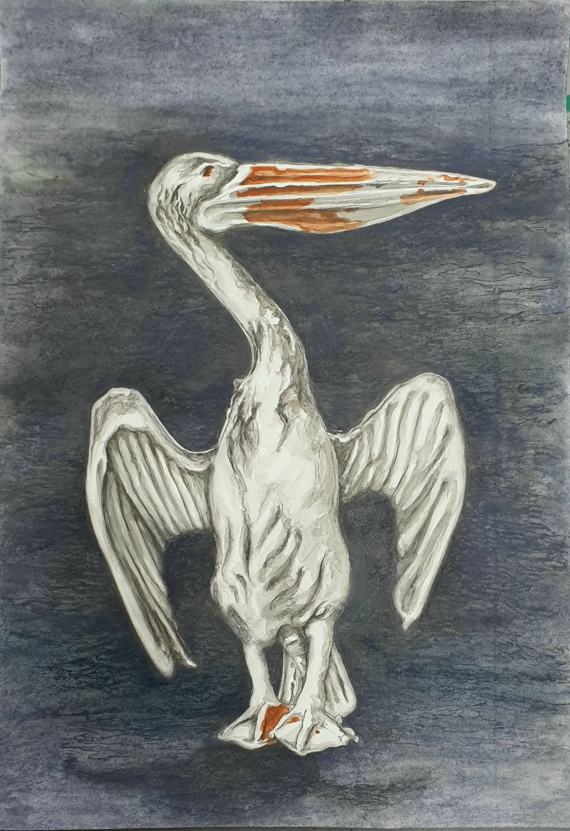 Made in China - Pelikaan | gemengde | techniek op papier | 2024 | 70x100 cm