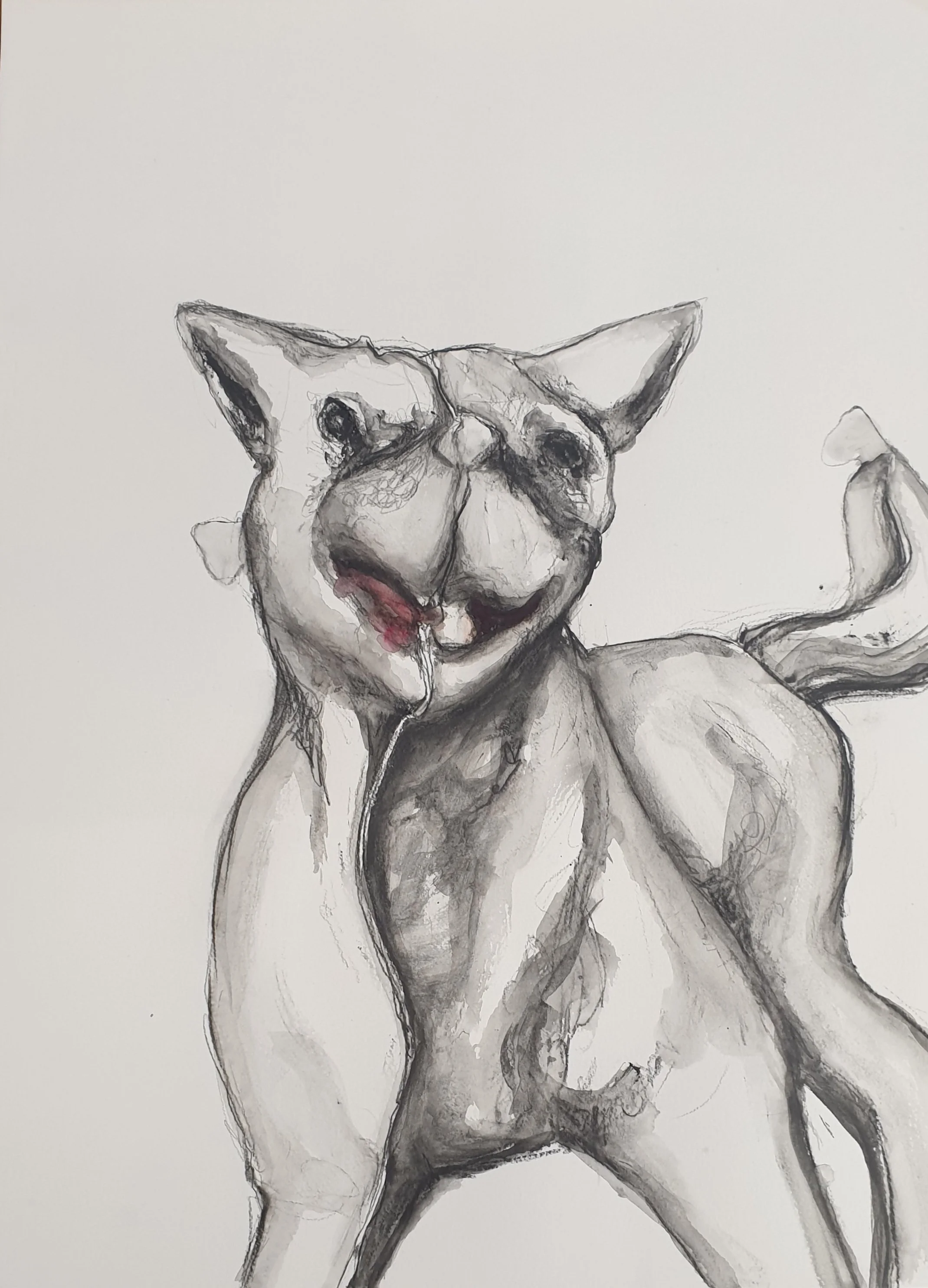 Made in China - Beest | gemengde techniek op Canson papier | 2020 | 50x65 cm