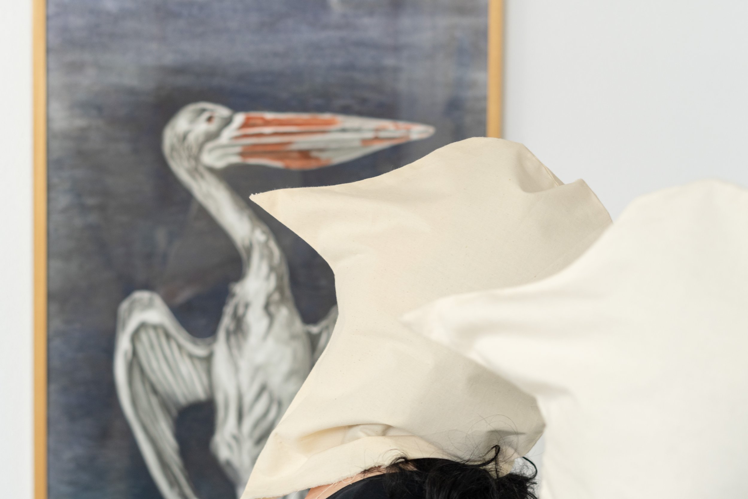 impressie tentoonstelling Aaibaren & Onaanraakbaren | 2024 | foto: Koen Kievits