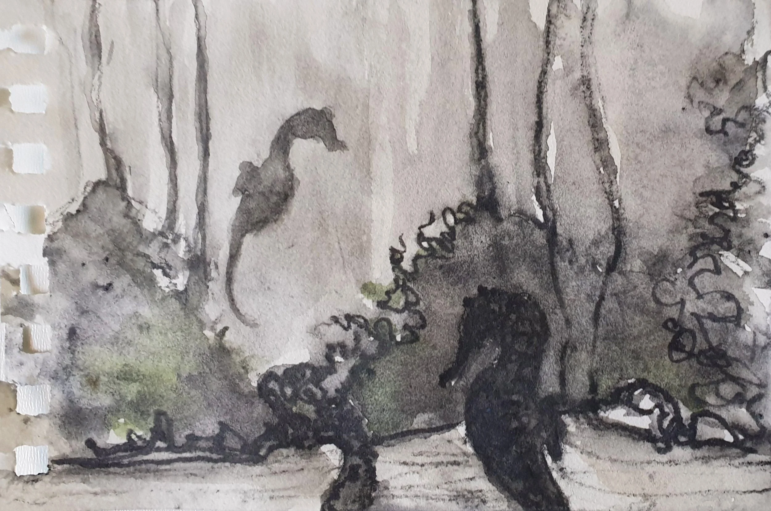 Aquatilibus XIV | grafiet en aquarel op papier | 2023 | 16,5x11 cm