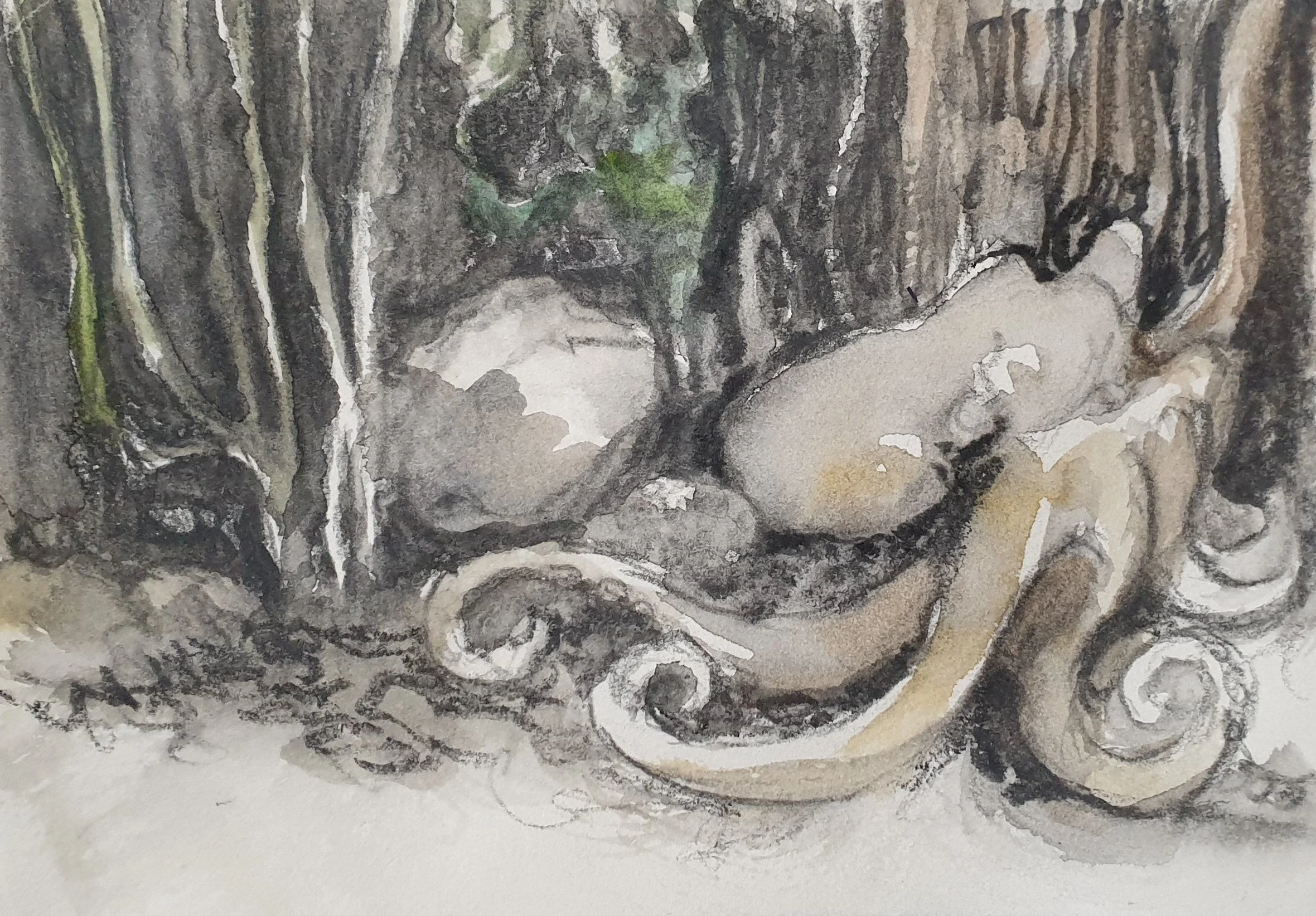 Aquatilibus IV | grafiet en aquarel op papier | 2023 | 16,5x11 cm