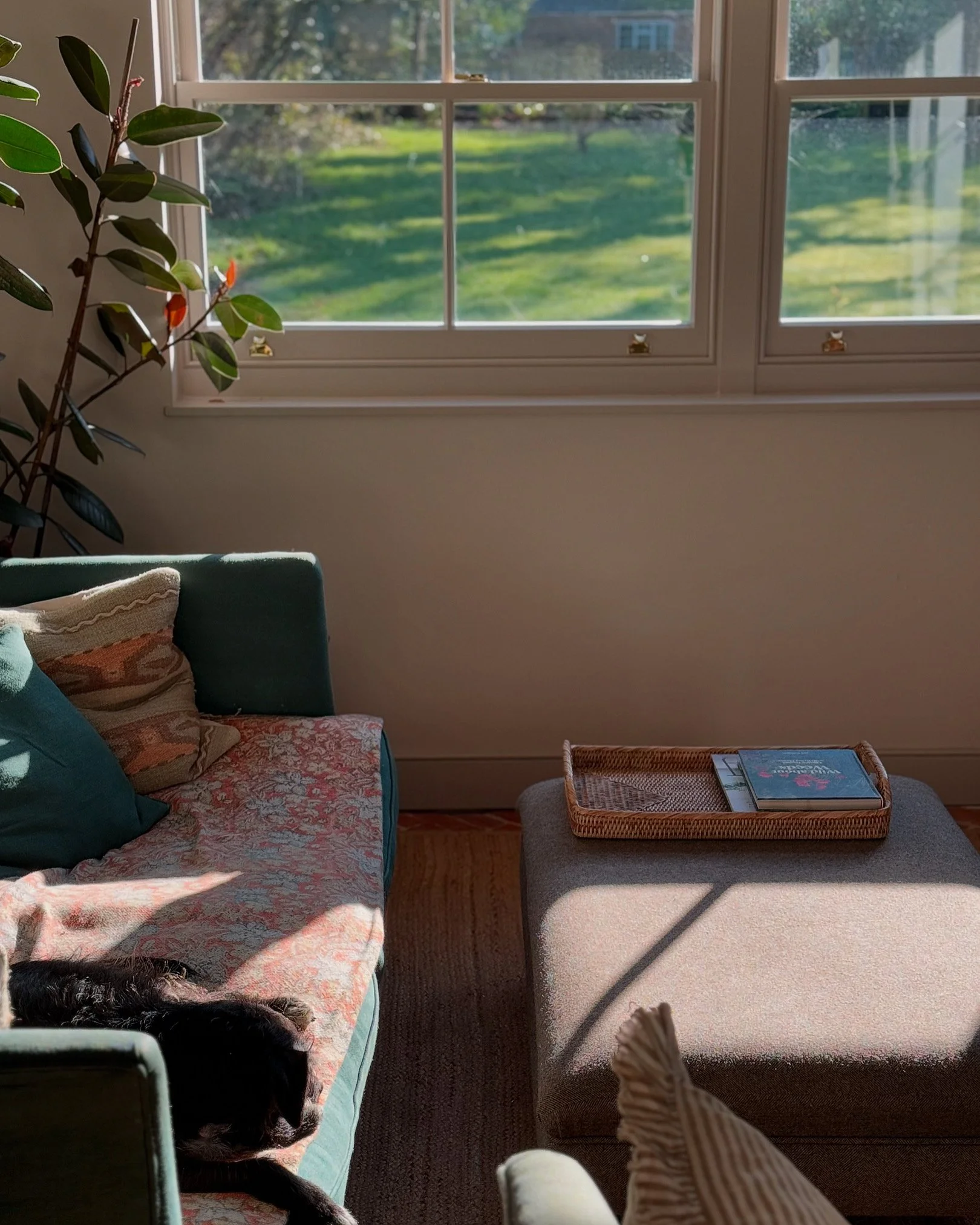 A cozy living room corner with a large window showing a green backyard. There's a teal sofa with patterned and solid cushions, a black dog lying on the sofa, a woven tray with books on an ottoman, and a tall plant with broad leaves near the window.