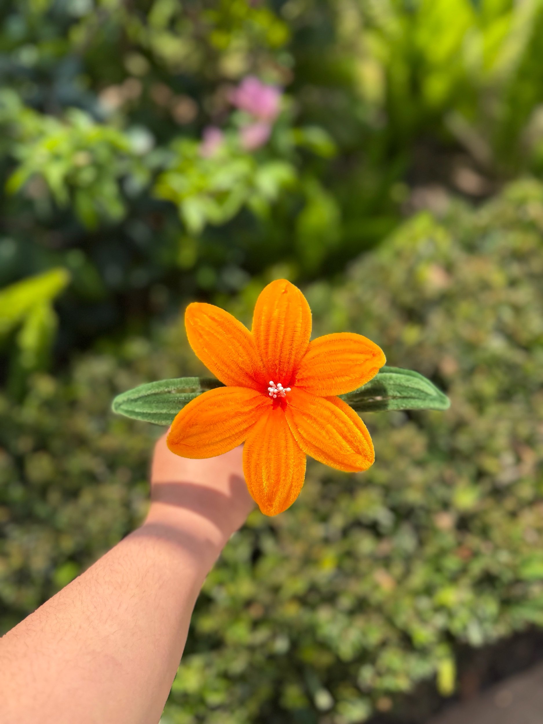 Orange Flowers (singles)