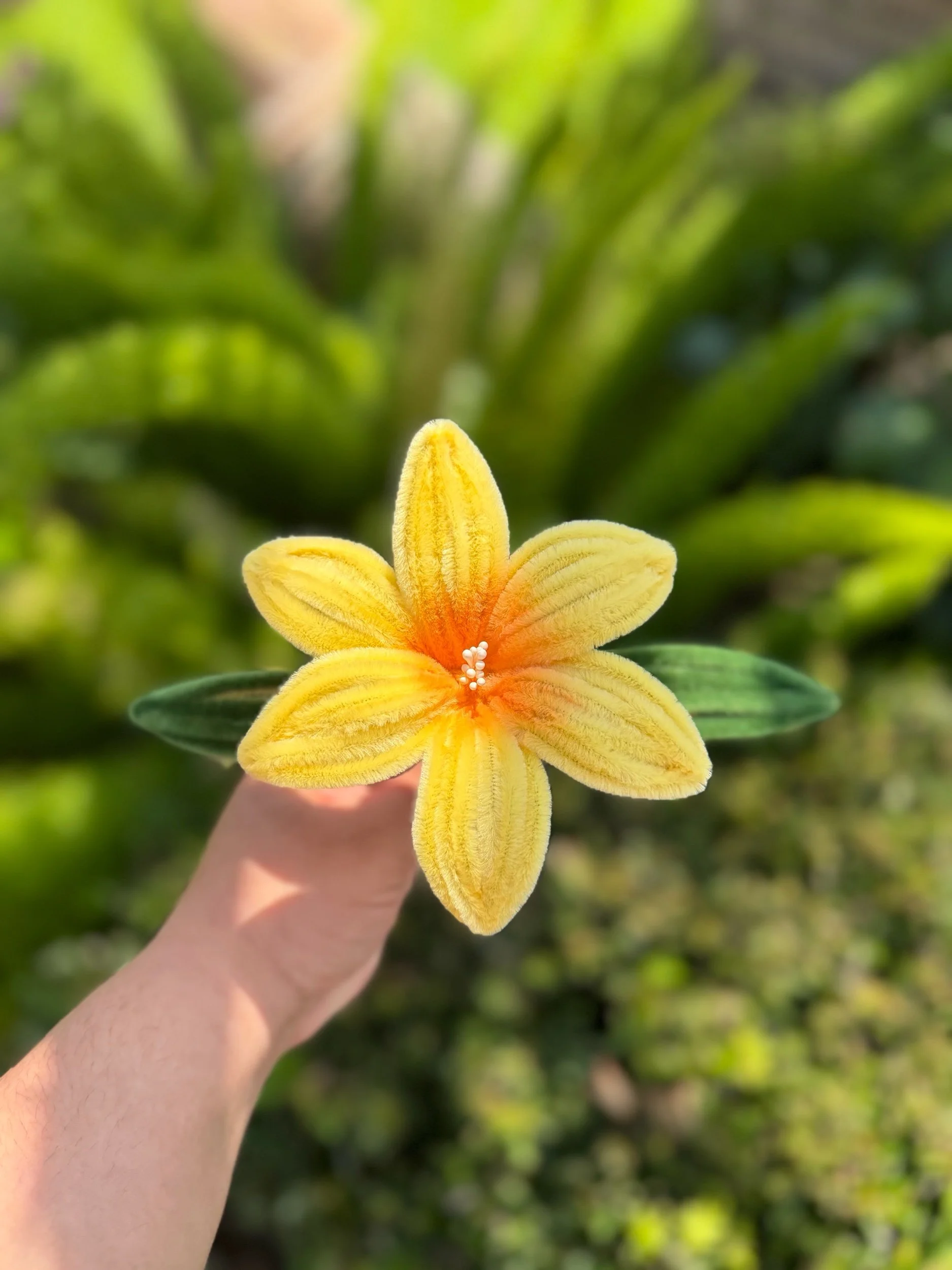 Yellow Flowers (singles)