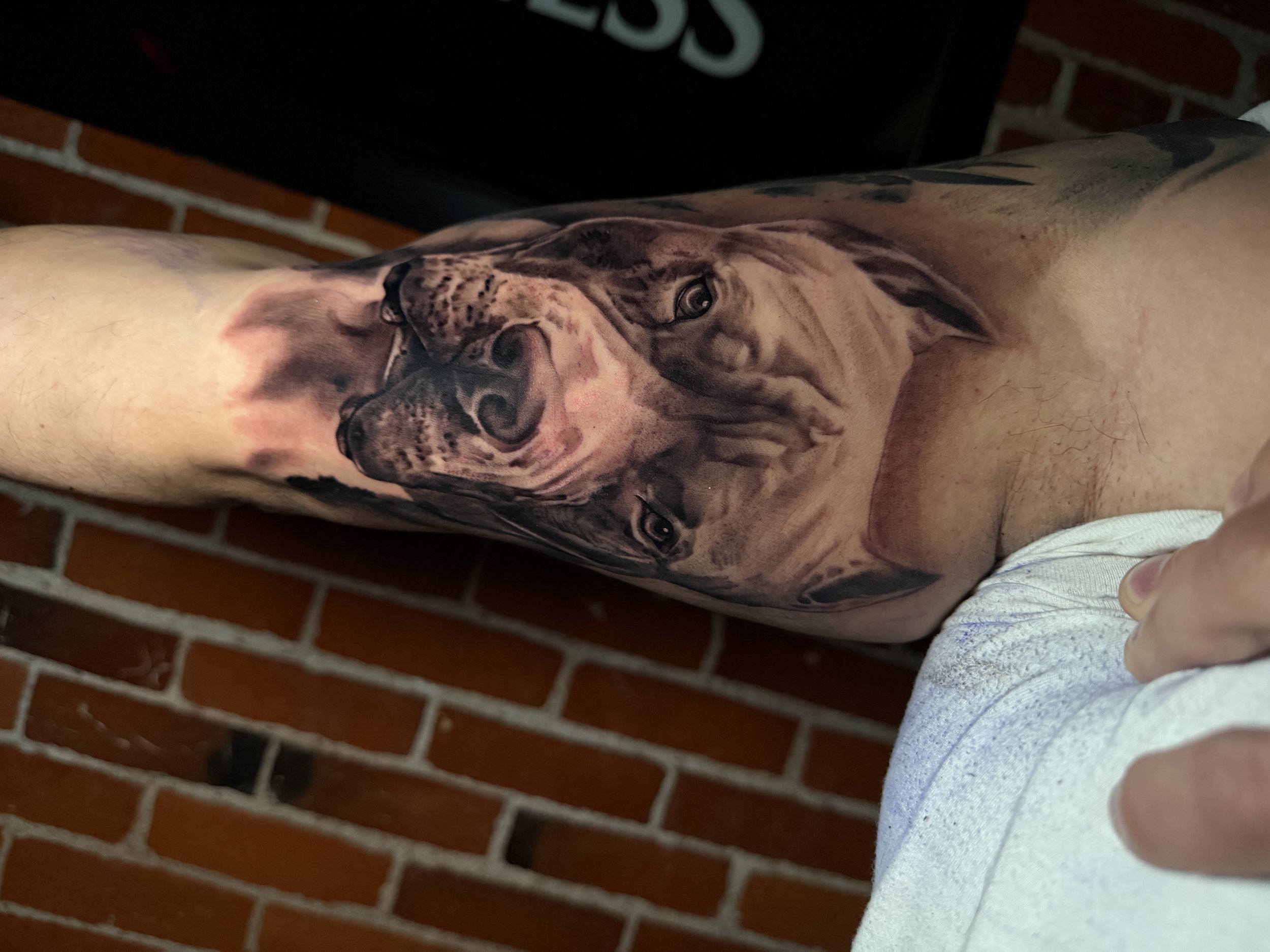 Tattoo of a dog's face on a person's thigh, showing realistic details and shading, with a background of a brick wall.