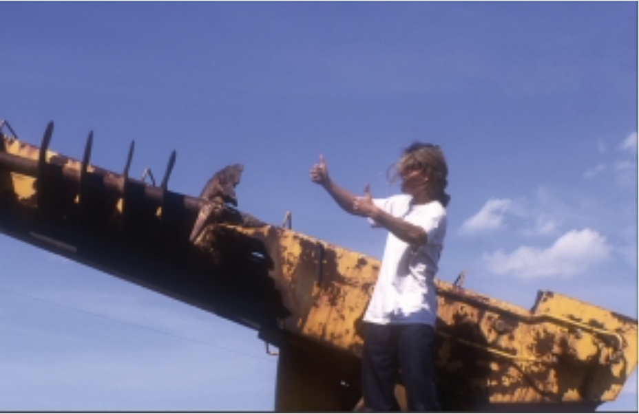 "Baltic" Performance,