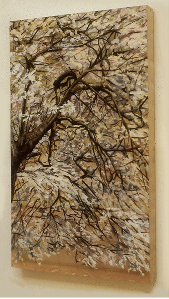 Screen Shot 2026-01-10 at 7.44.35 PM.png