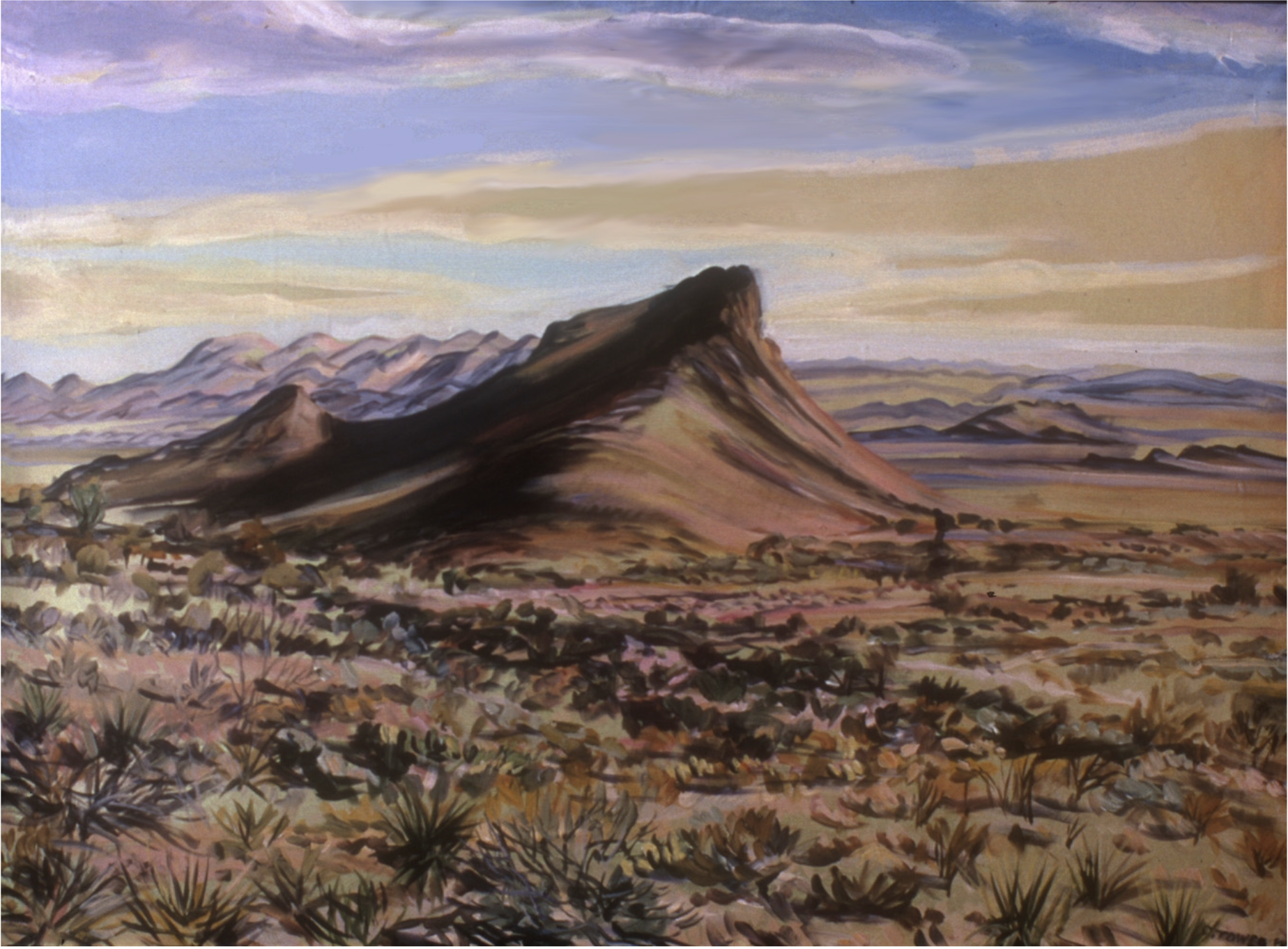 "Camelscape", Big Bend National Park, West TX