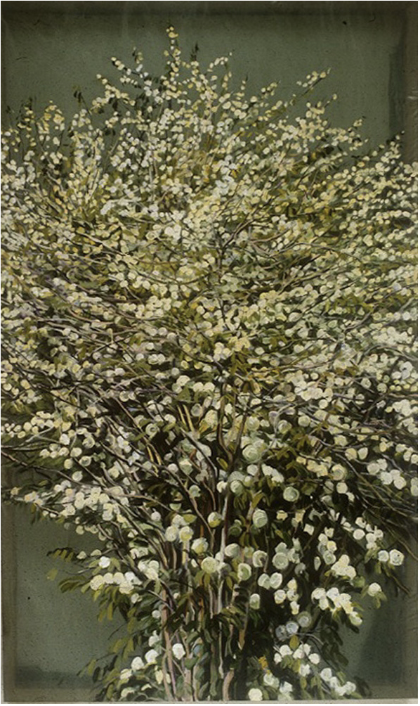 Screen Shot 2026-01-10 at 7.44.14 PM.png