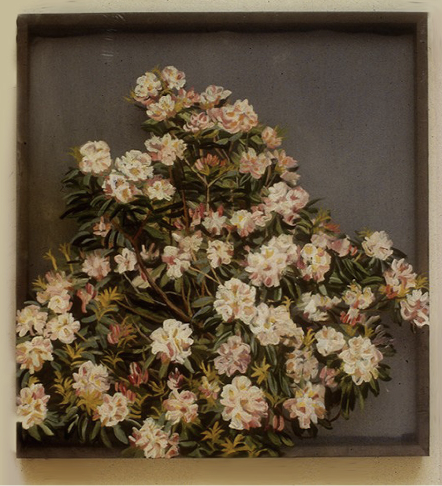 Screen Shot 2026-01-10 at 7.44.59 PM.png