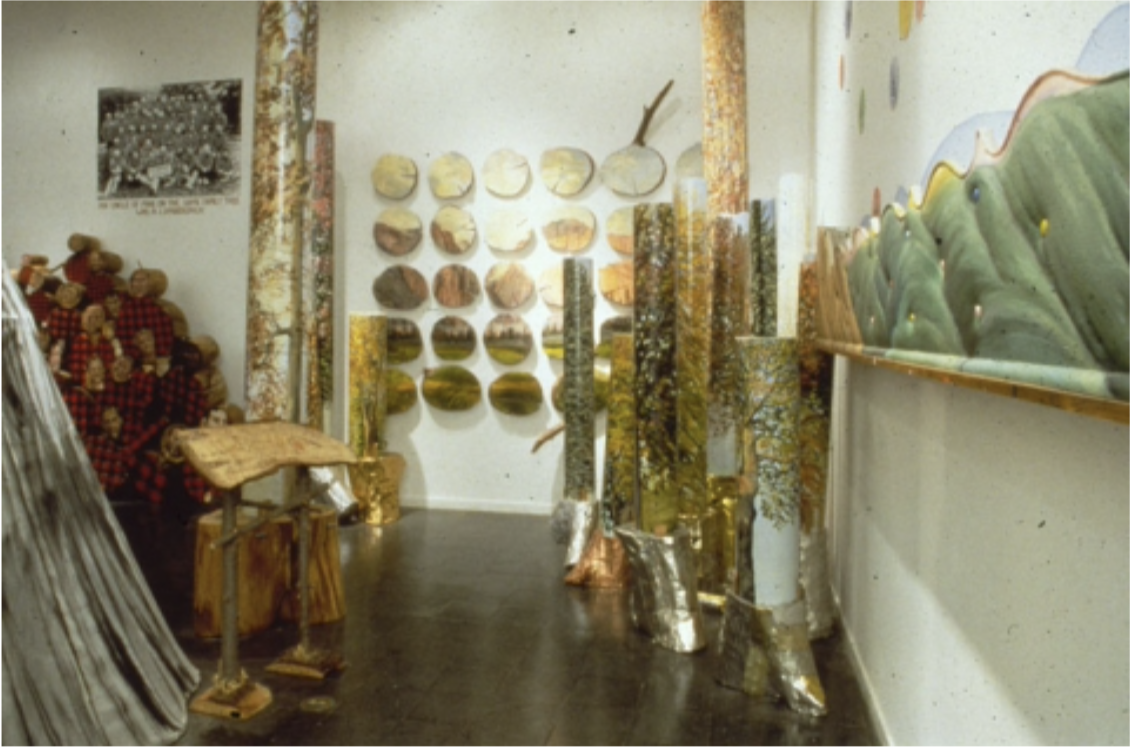 Westward Expansion Inward, The New Museum of Contemporary Art, New York, NY, 1994