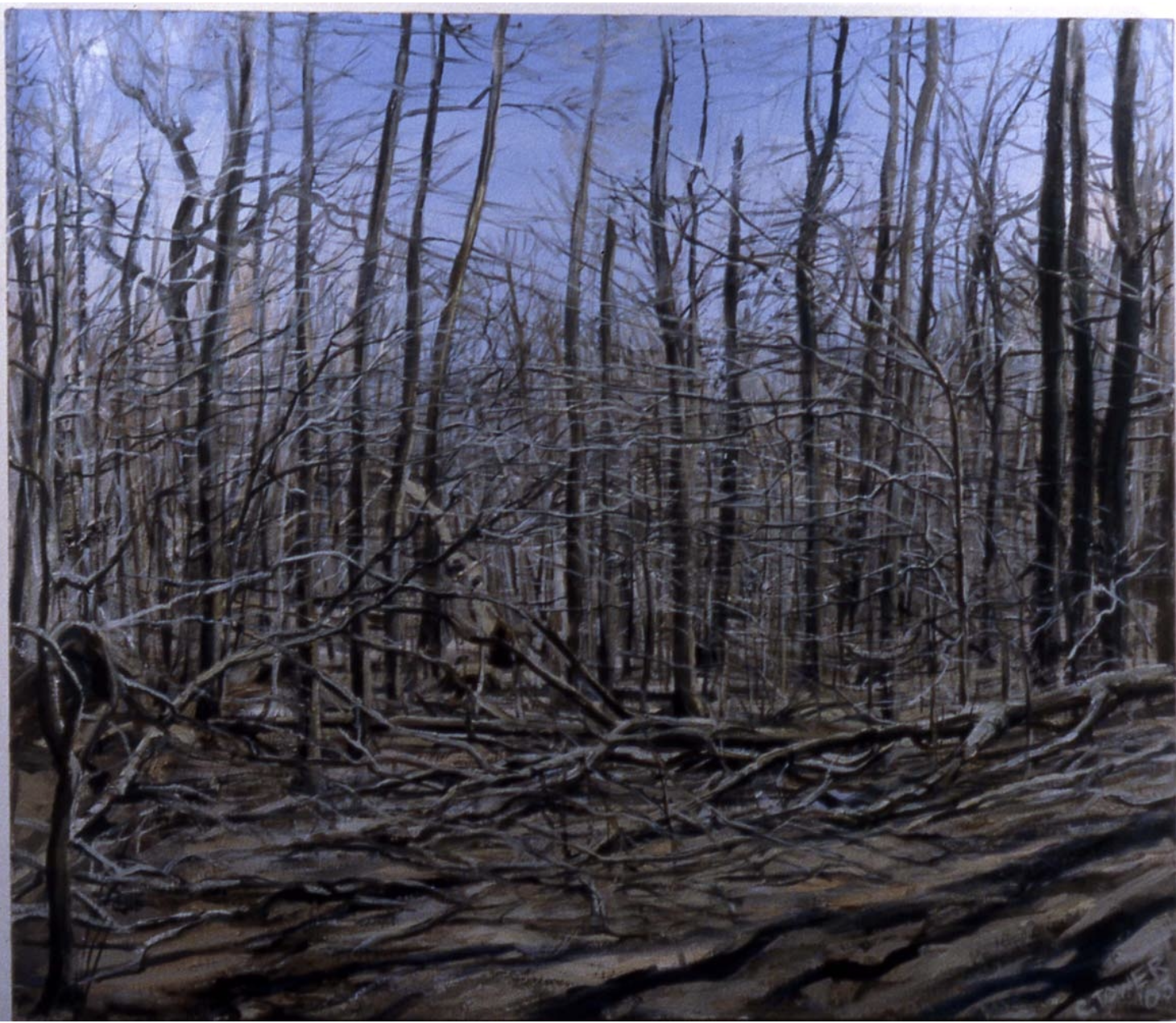 "WinterWoods"
50 x 58 inches, oil on canvas