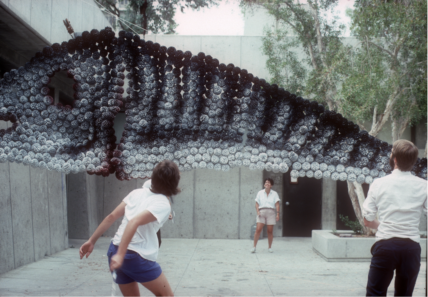 "Fly Fishing" experienced through badminton, San Diego, CA
2/2