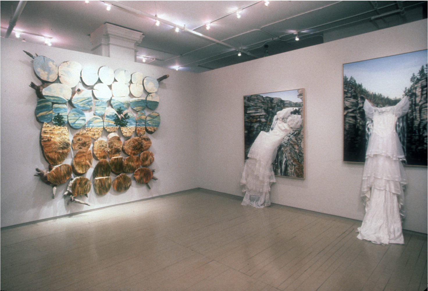 "Field and Stream", Monique Knowlton Gallery exhibition, NYC