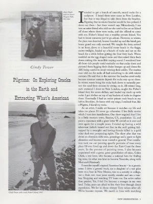 "On exploring cracks in the Earth and Extracting What's American" by Cindy Tower, New Observations Magazine