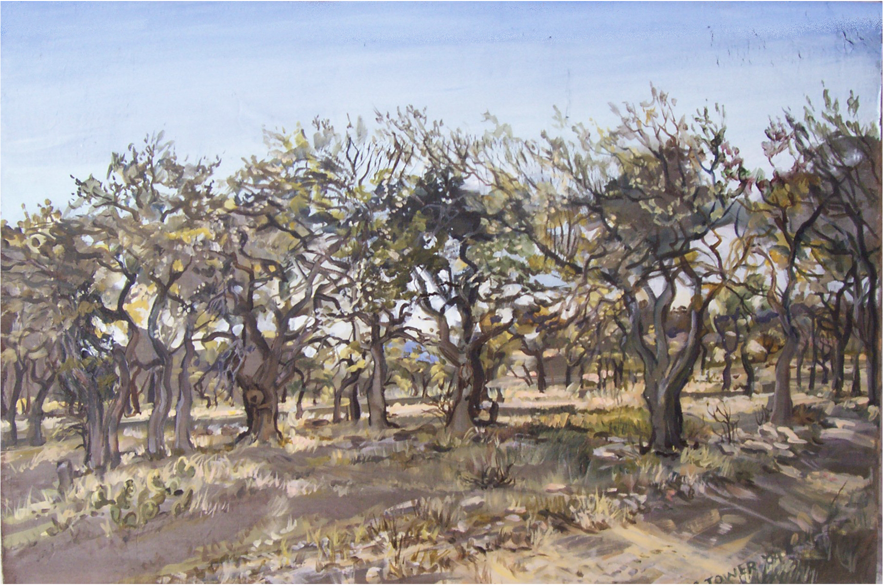 "Mauer Ranch", Bulverde, TX
oil on silk