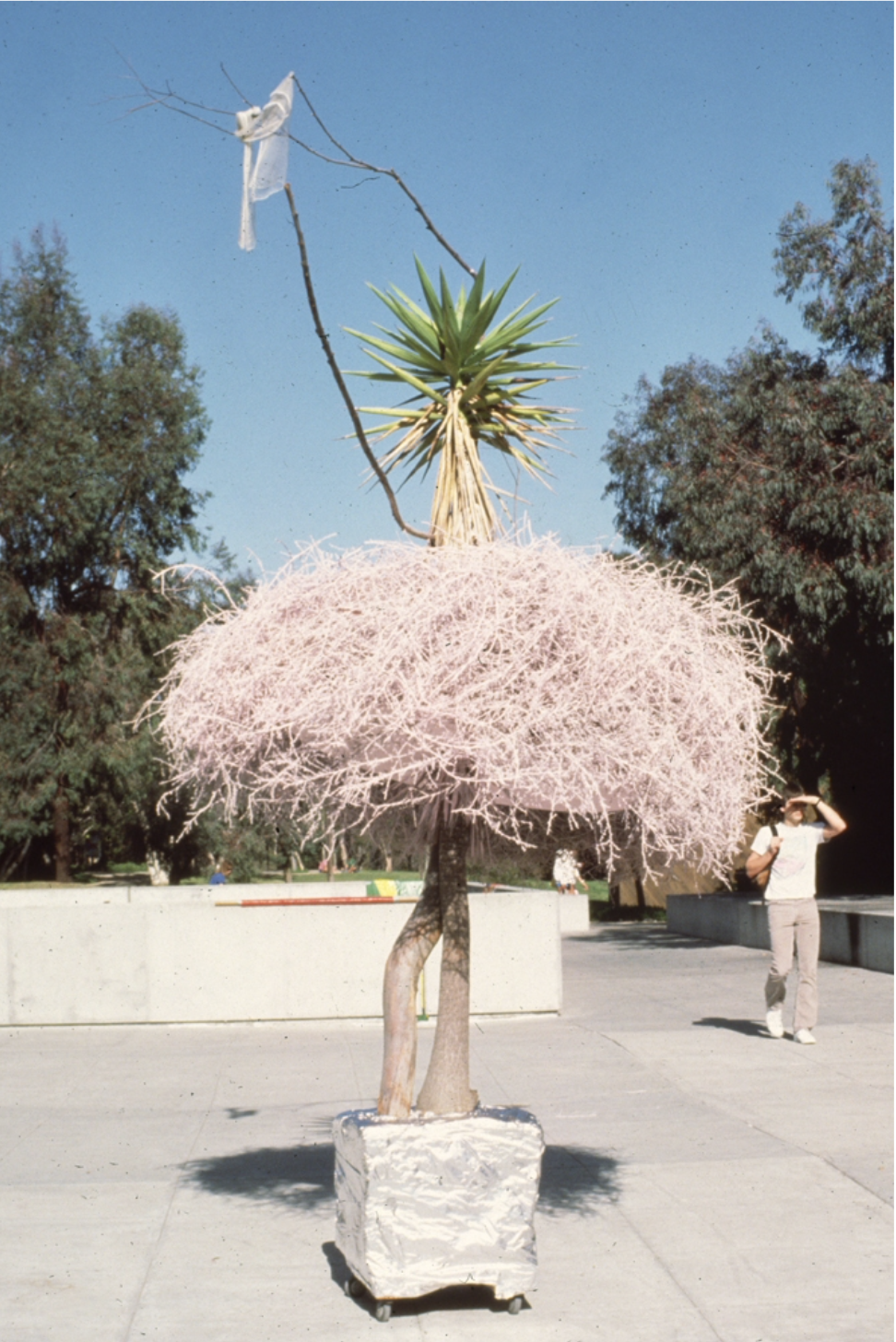 "Primo Donna" Ballerina on rollers, LaJolla, CA, 

Painted tumble-weed, scarf on rollers, 