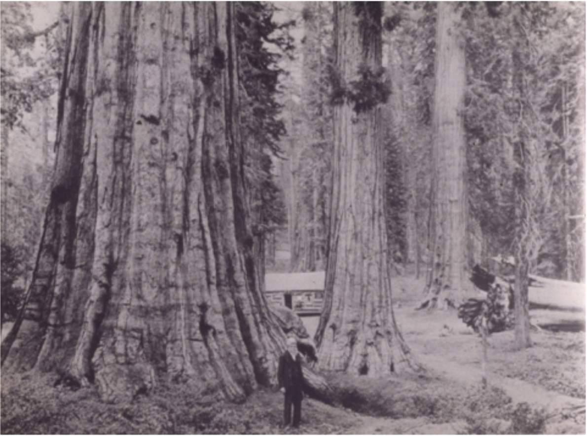 Screen Shot 2026-01-10 at 9.13.35 PM.png