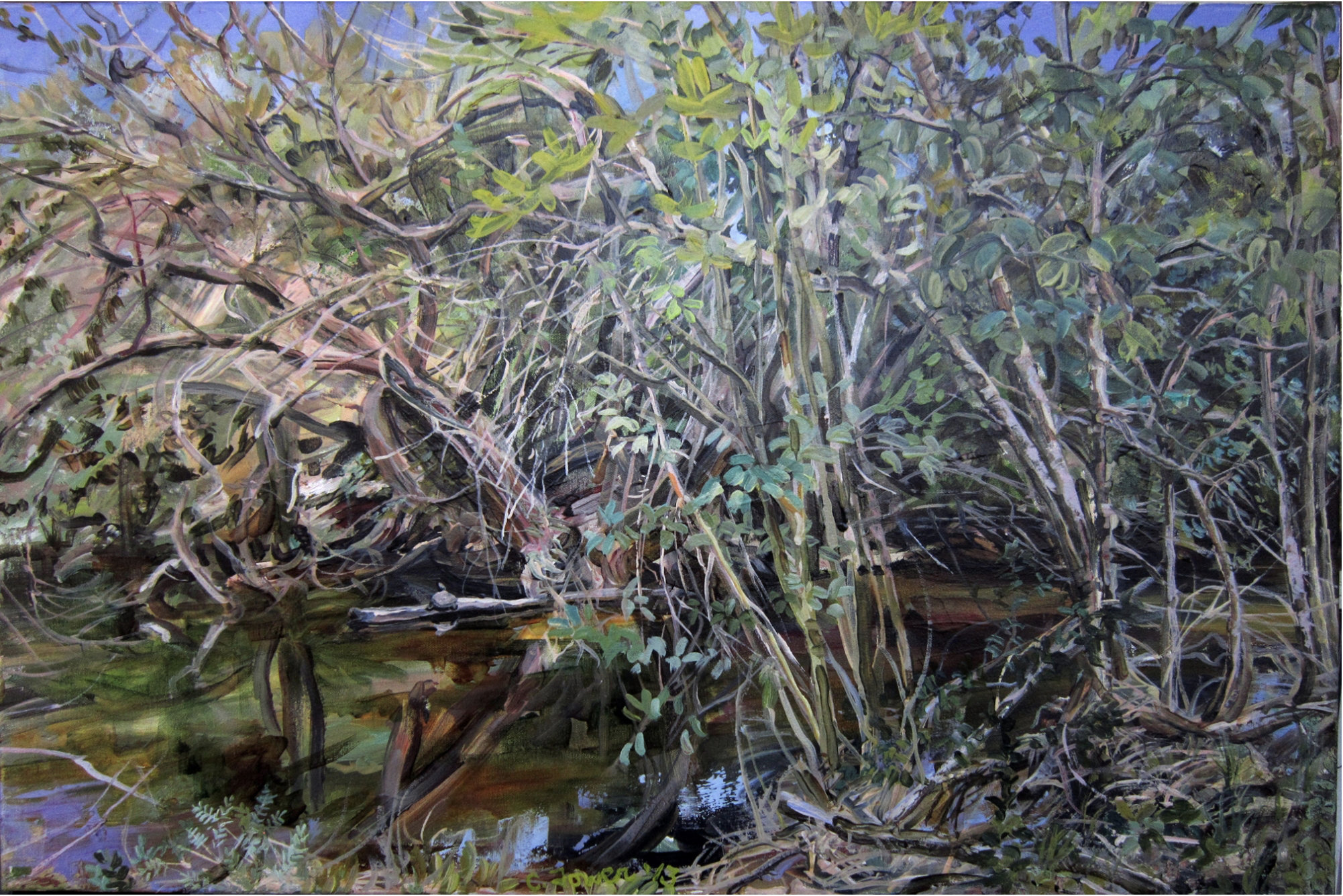 Traveler's Series; Turtle
2013
o/c
24 x 36