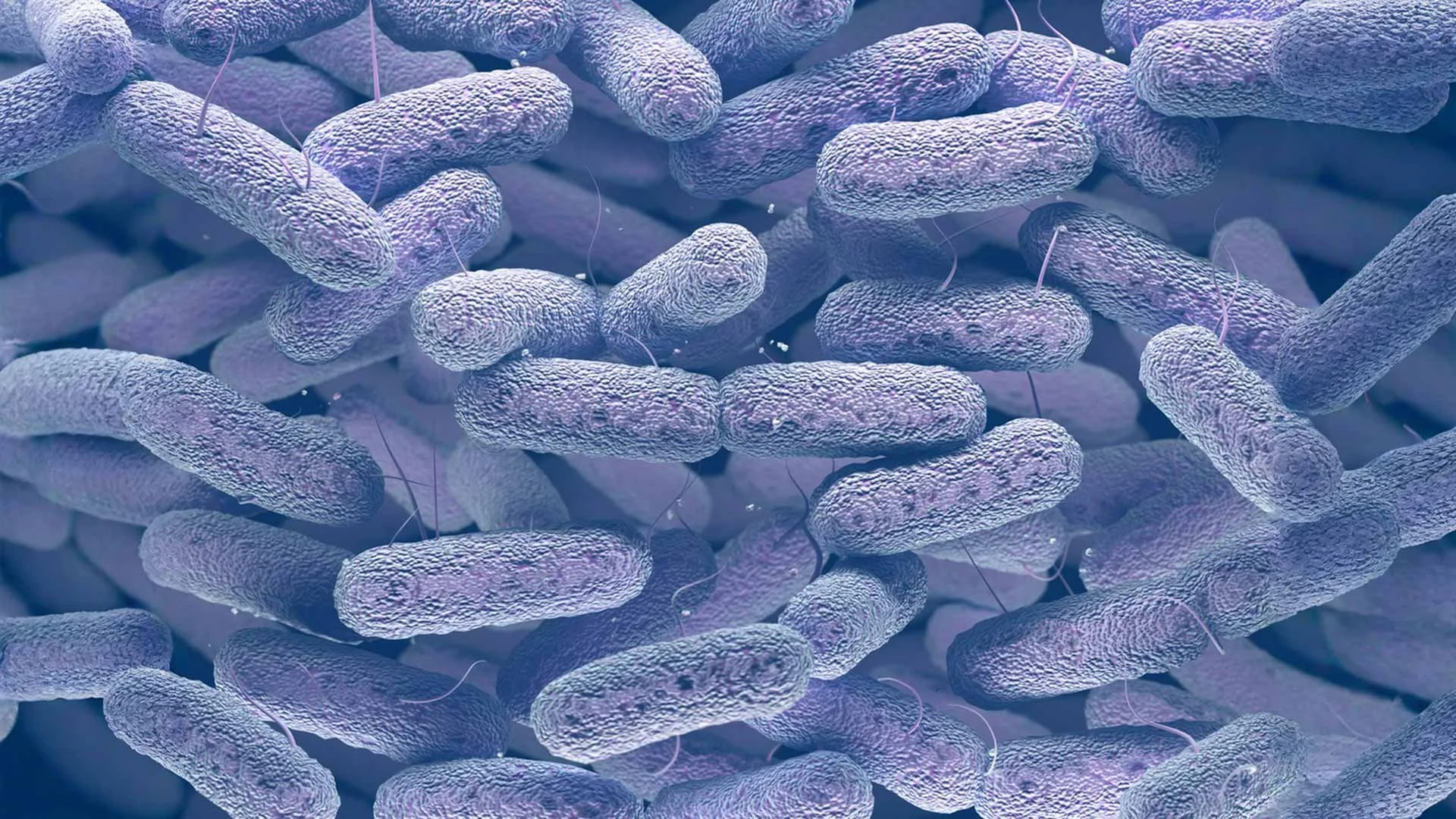 Biolithica Signs Sponsored Research Agreement with Cornell University