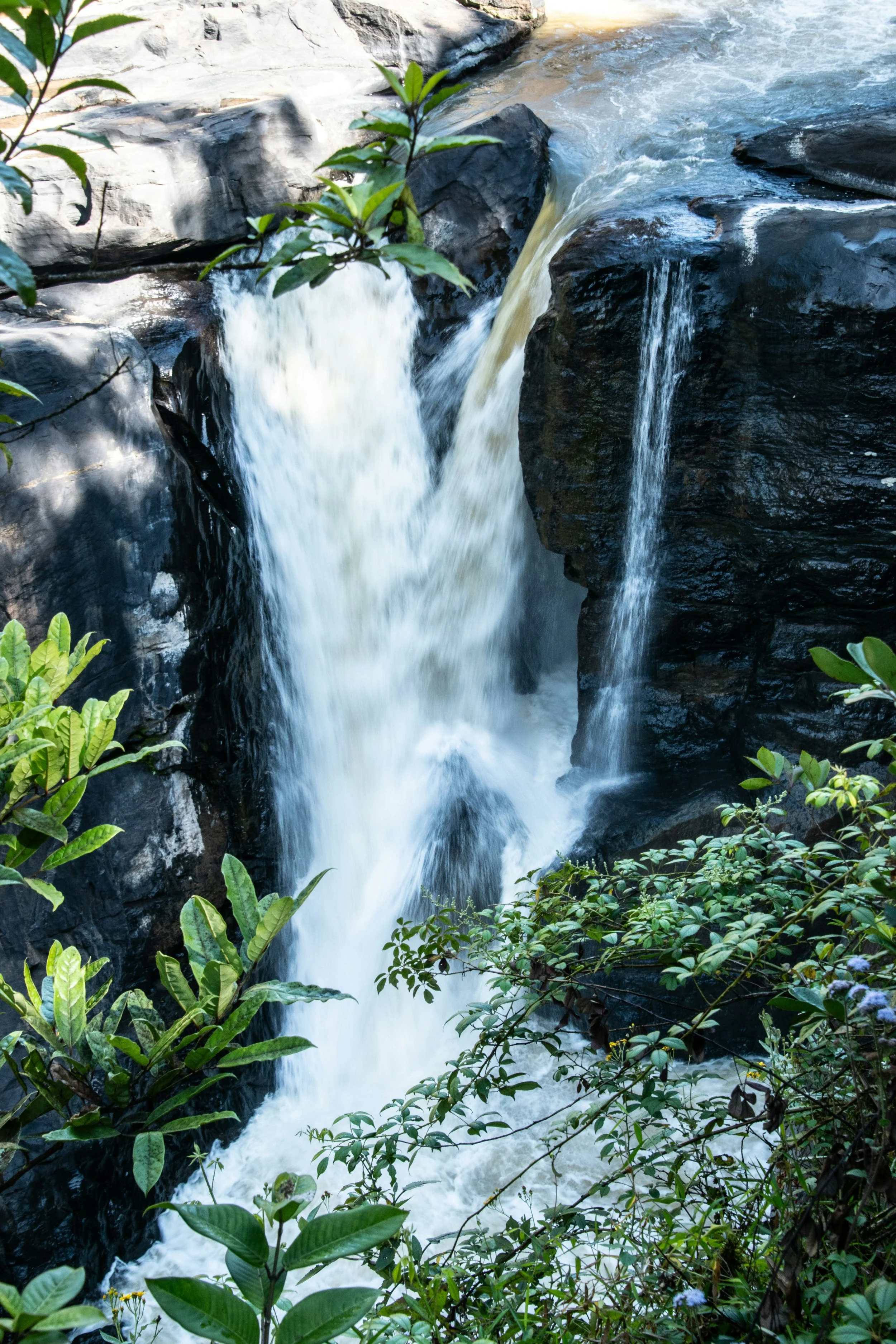 Flowing waterfall between dark rocks surrounded by green foliage In Madagascar.