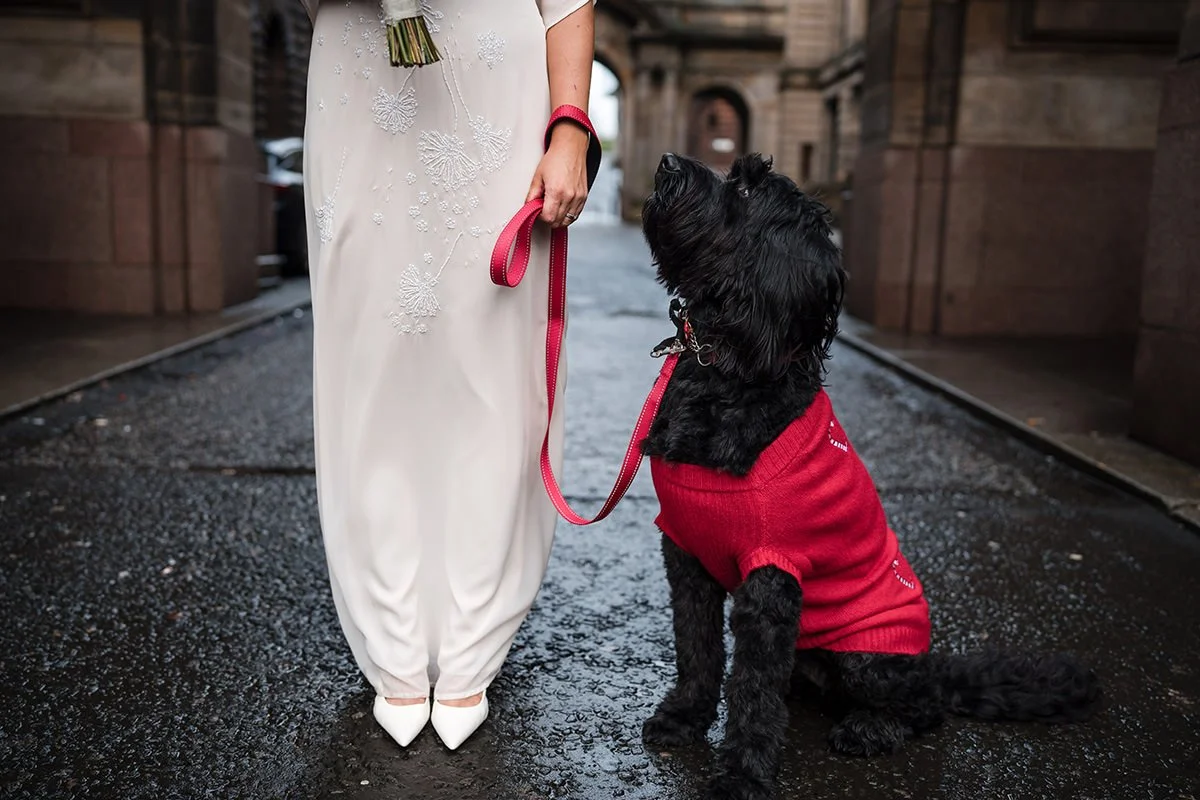 A bride in a white dress with floral embroidery holds a red leash attached to a black dog wearing a red sweater, on a wet city street after a Glasgow city elopement