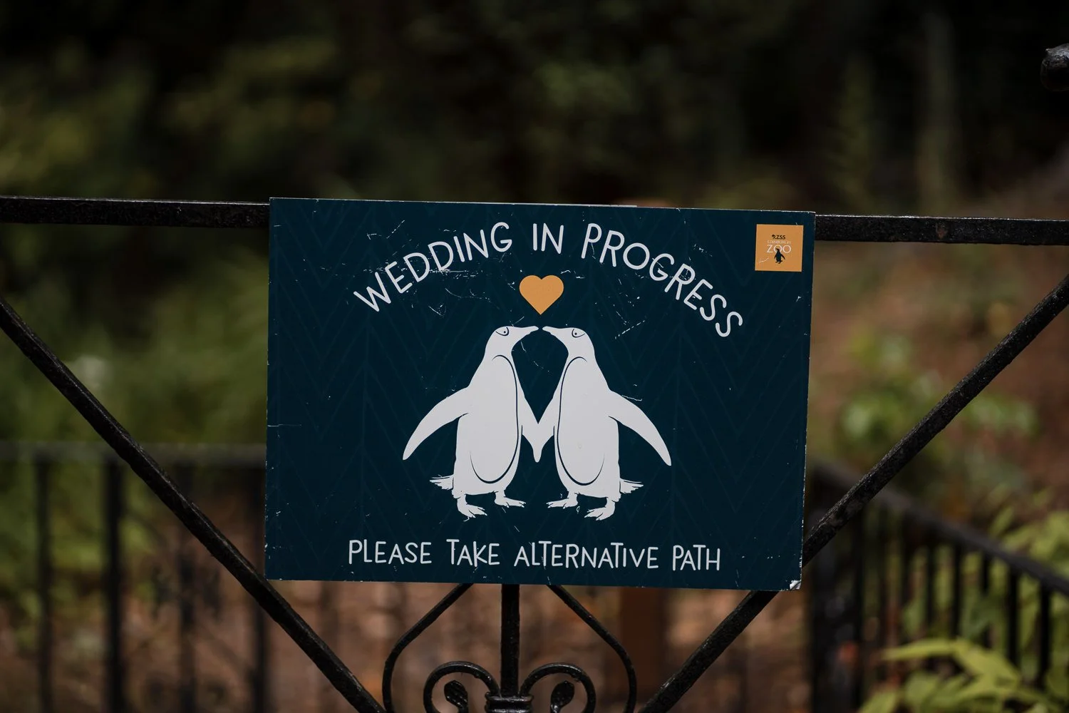 edinburgh-zoo-wedding-photographer-5.jpg