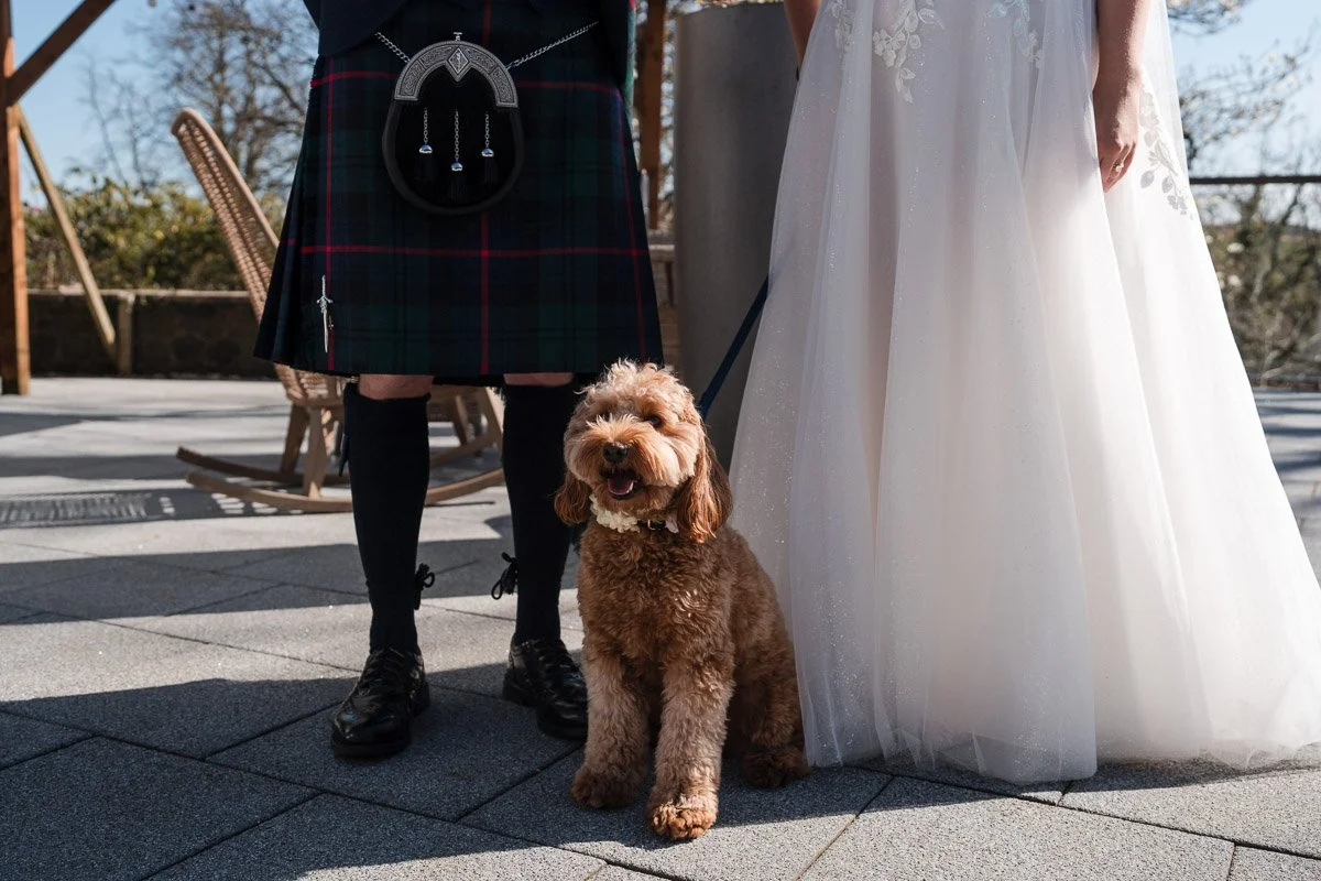 A happy brown dog sitting on a patio next to a Scottish bride and groom in a white dress and kilt, with an outdoor background and wooden chairs at Enterkine House Hotel.