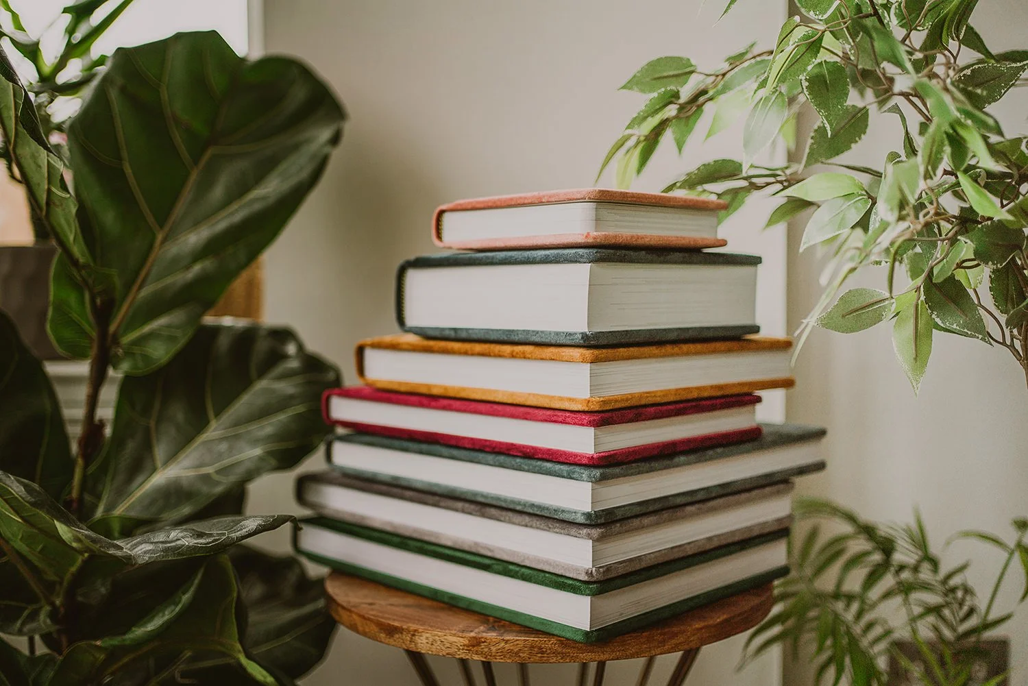 Stack of nine hardcover books placed on a wooden stool with green and leafy houseplants on both sides.