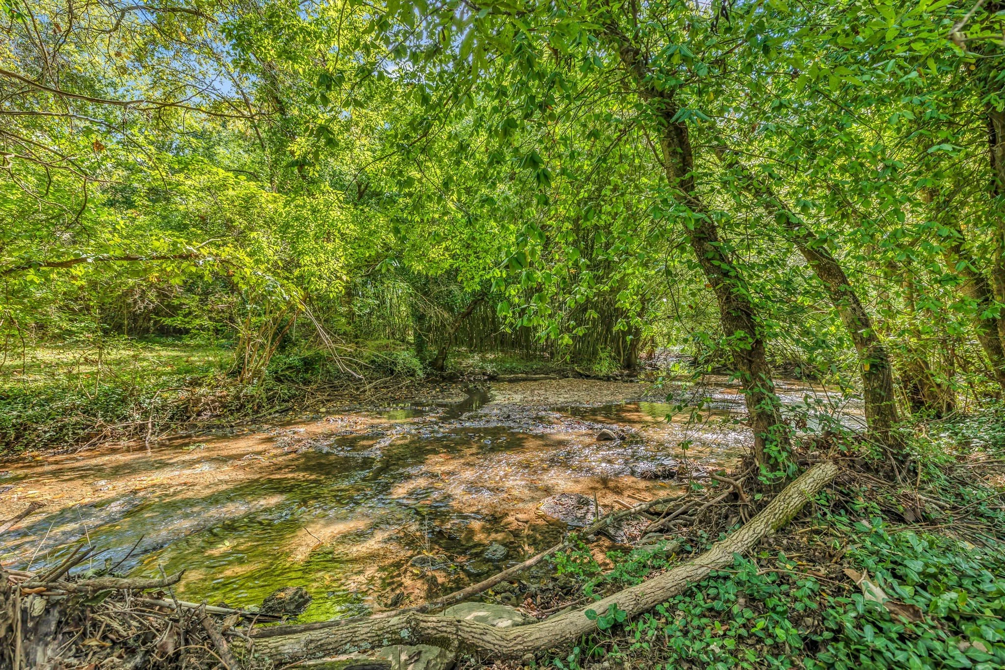 You can find a creek flowing through the neighborhoods surrounding Haynes Dr Murfreesboro.