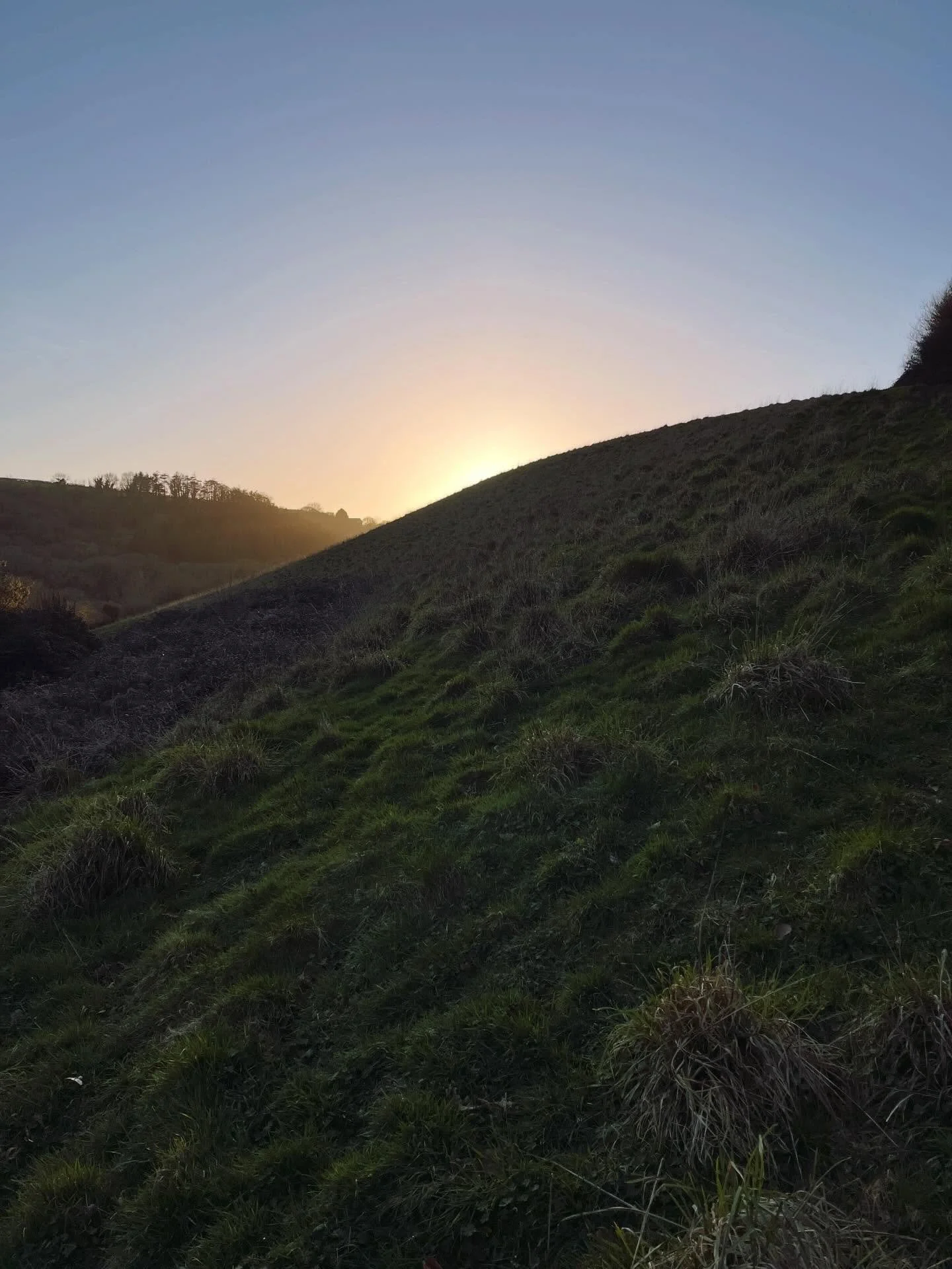 SPRING is right around the corner 🌿
And this is peak foraging season.

Everything is fresh. Tender. Nutrient-dense.
The land is bursting &mdash; and this window doesn&rsquo;t last long.

On our last forage we gathered:

🌱 Wild garlic
🌱 Dandelion
?