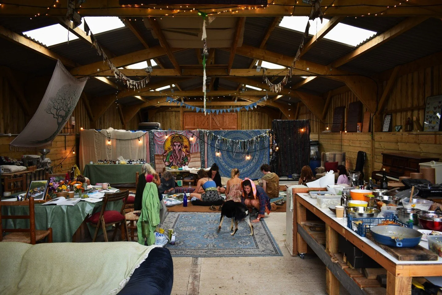 ✨ Happy New Year from Earthbound ✨
 
Getting back in the saddle for the Year of the Horse 🐎
We poured so much love and energy into 2025. Over 20 wonderful volunteers passed through the farm, we welcomed a BBC film crew, raised the happiest chickens 