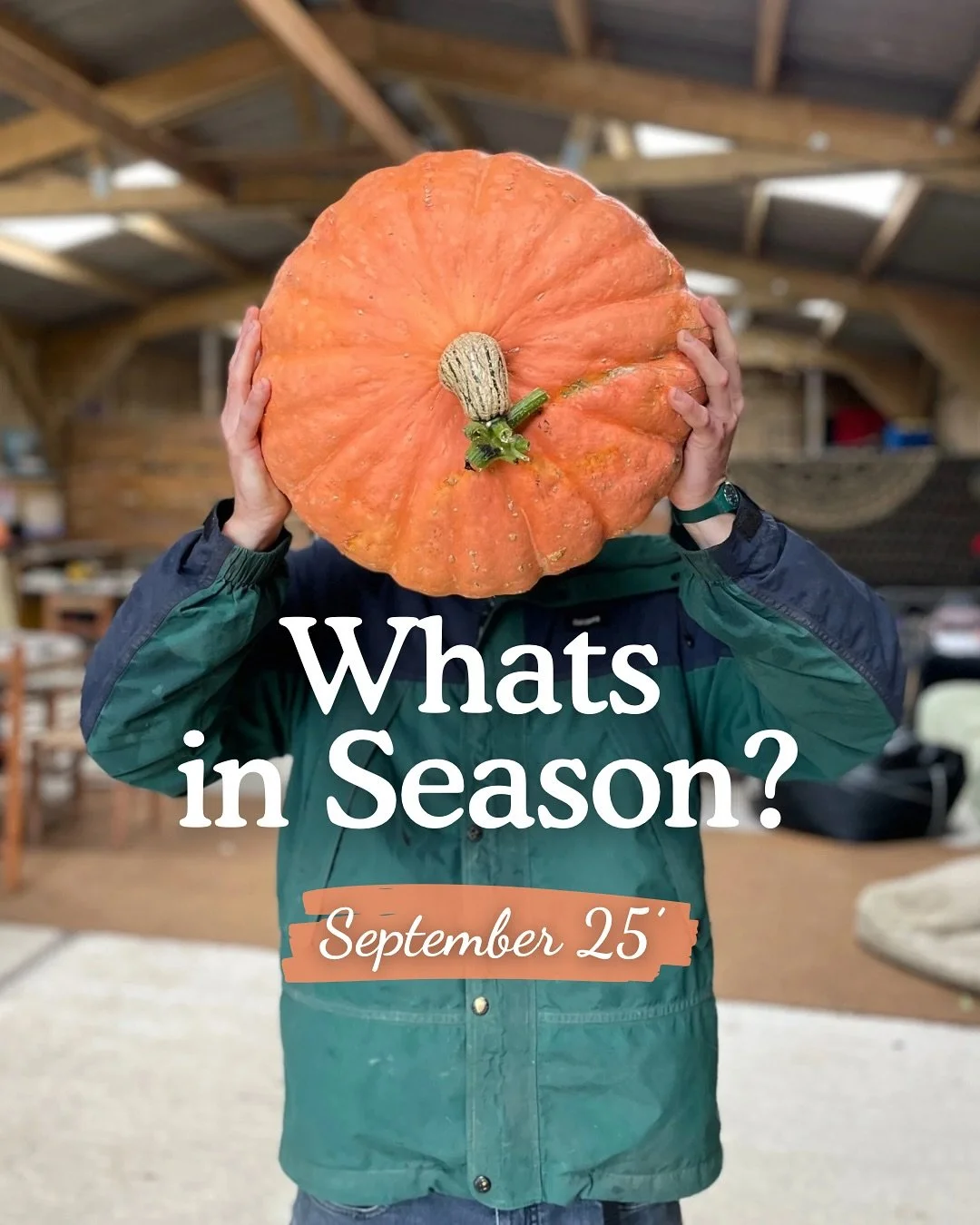 The turn of the season has brought winds of change through the Earthbound fields 🌕🌾 With summer drawing to a close, the farm is settling into a gentler rhythm of harvest as we gather the fruits of the season and prepare the ground for more events t