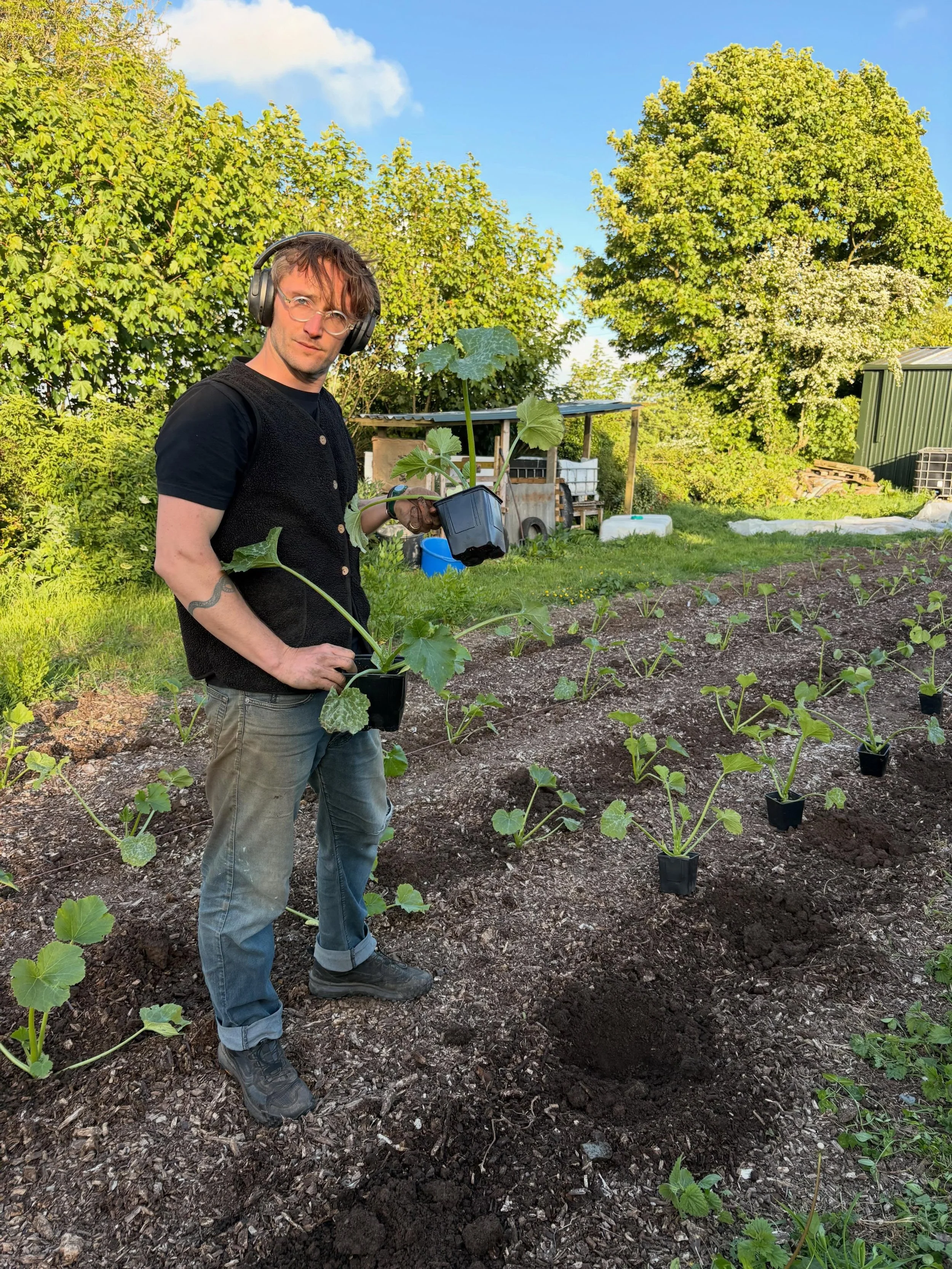 What makes sowing and growing courgettes even better?!?! &hellip;. we hear you ask 🥸

Spotifyjams, finding new music, ciders, sunshine and kisses from Pie 🐾

(Soz - we have been a bit quiet on here because it is GOGOGO grow grow grow time 🔨 ⏰ so m